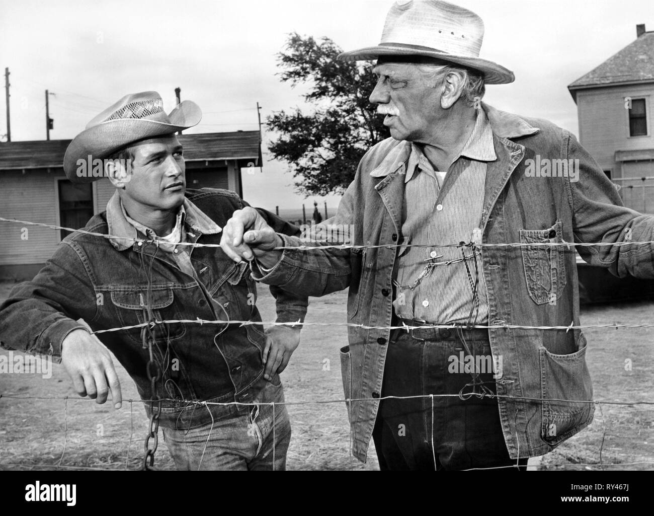 NEWMAN,DOUGLAS, HUD, 1963 Banque D'Images