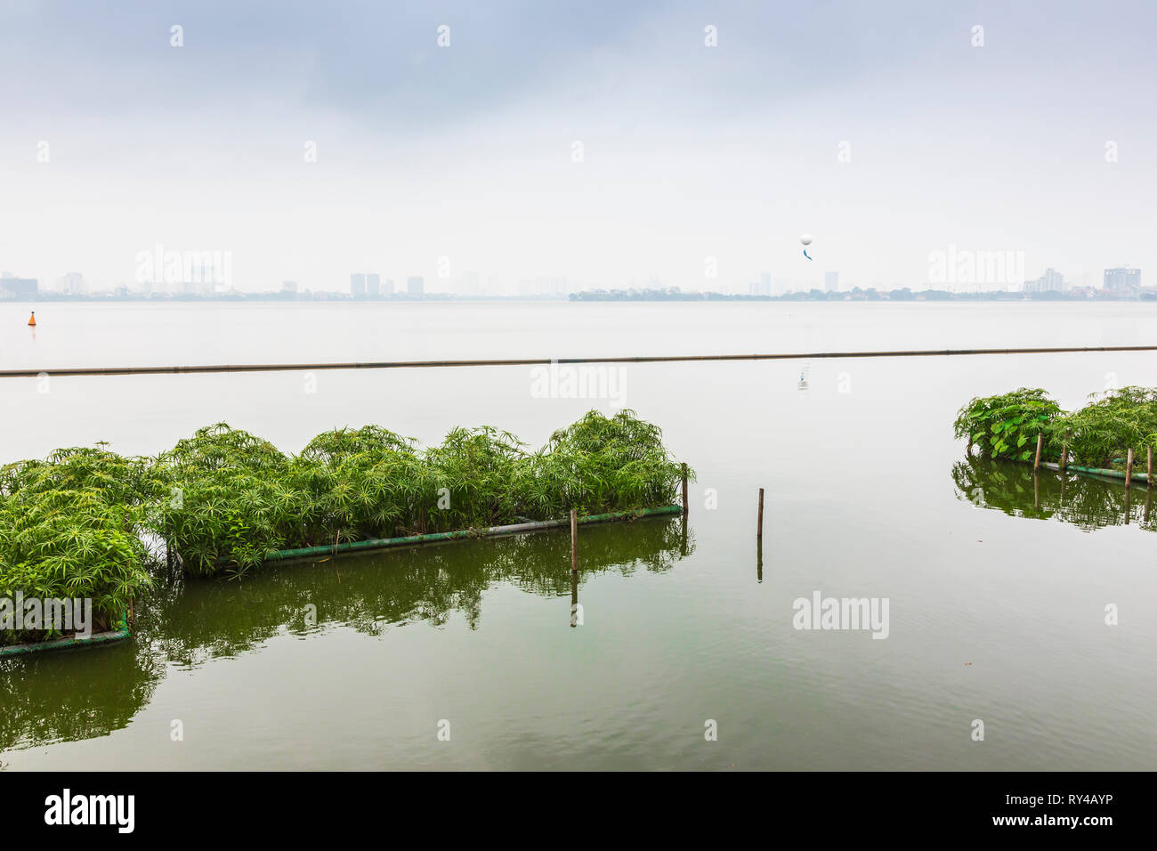 L'agriculture sur des lits en bambou flottant, sur le lac ouest (Ho Tay) avec l'horizon de Hanoï dans la distance, Vietnam, Asie, Banque D'Images
