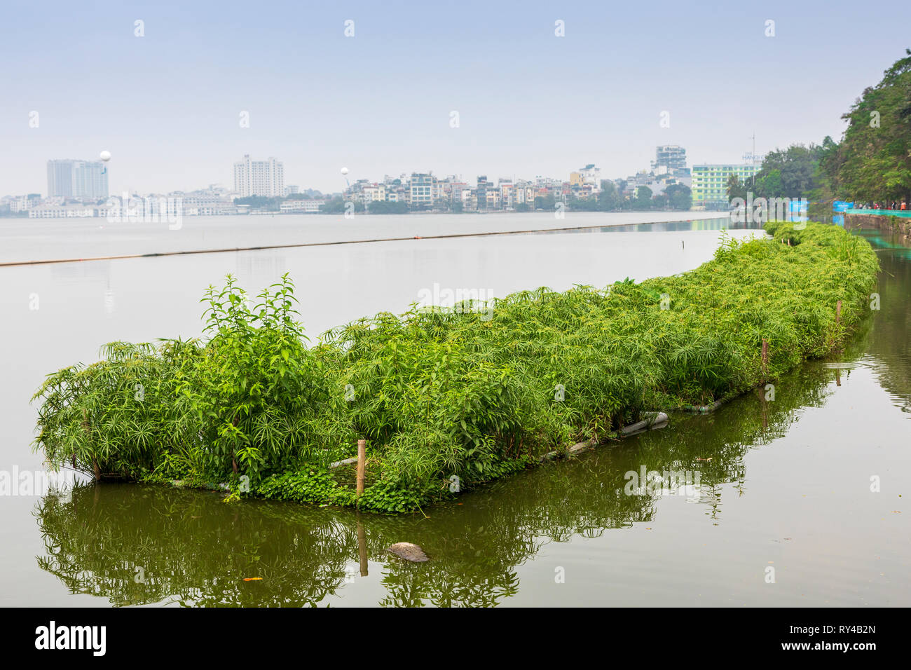 L'agriculture sur des lits en bambou flottant, sur le lac ouest (Ho Tay) avec l'horizon de Hanoï dans la distance, Vietnam, Asie, Banque D'Images