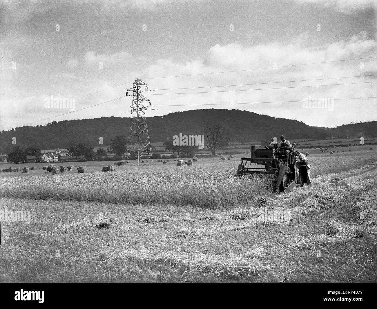 Récolte avec moissonneuse-batteuse à Bebbs Farm Wellington Shropshire avec l'Ercall Hill 1960s. Banque D'Images