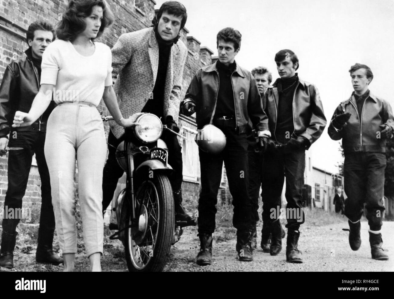 Champ,REED, les damnés, 1963 Banque D'Images