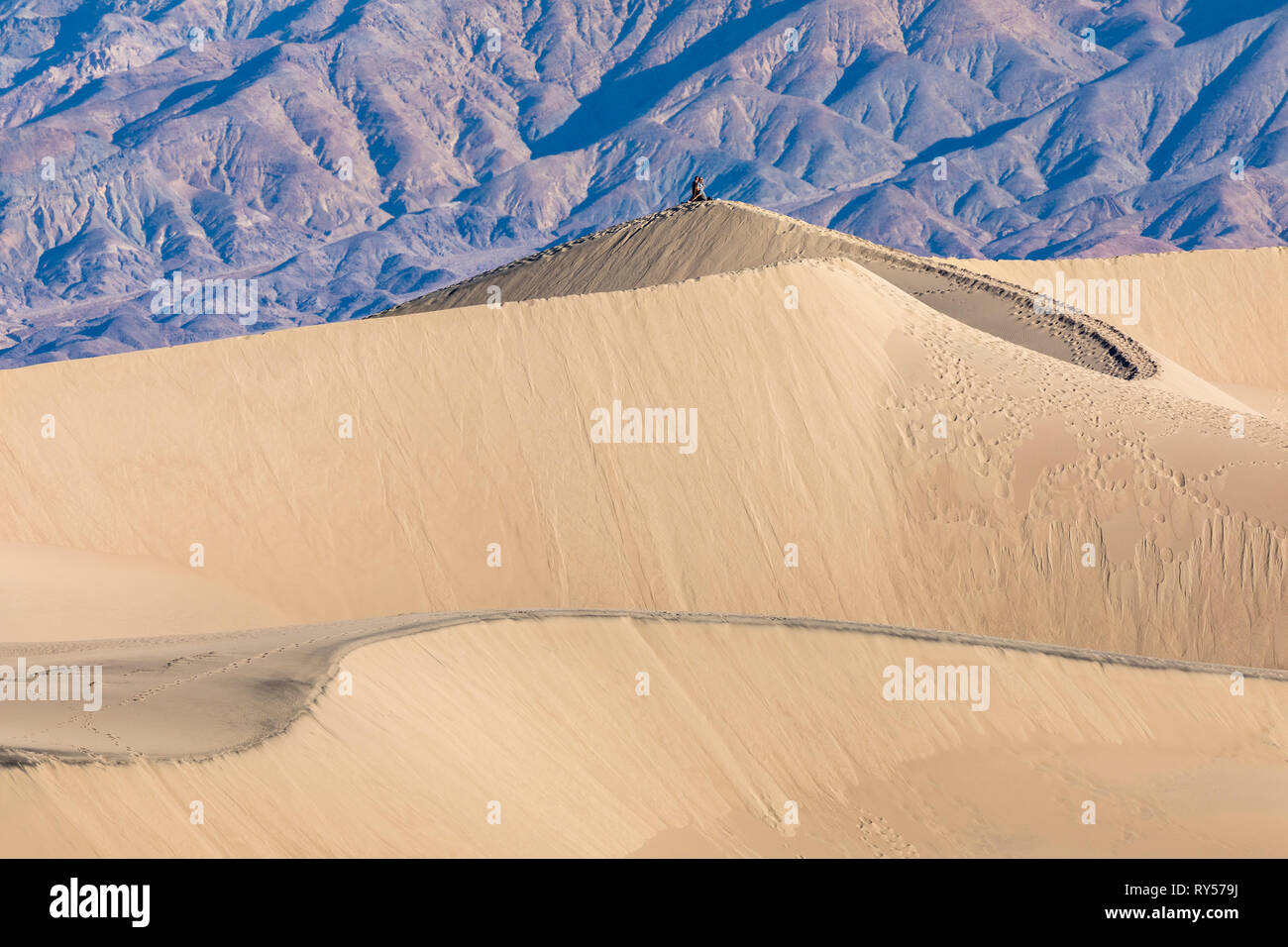 Les dunes de sable de Mesquite Flat sont une vaste zone de dunes de sable bordées de montagnes atteignant 100 pieds et un endroit de choix pour les randonneurs, les photographes et le surf sur sable. Banque D'Images