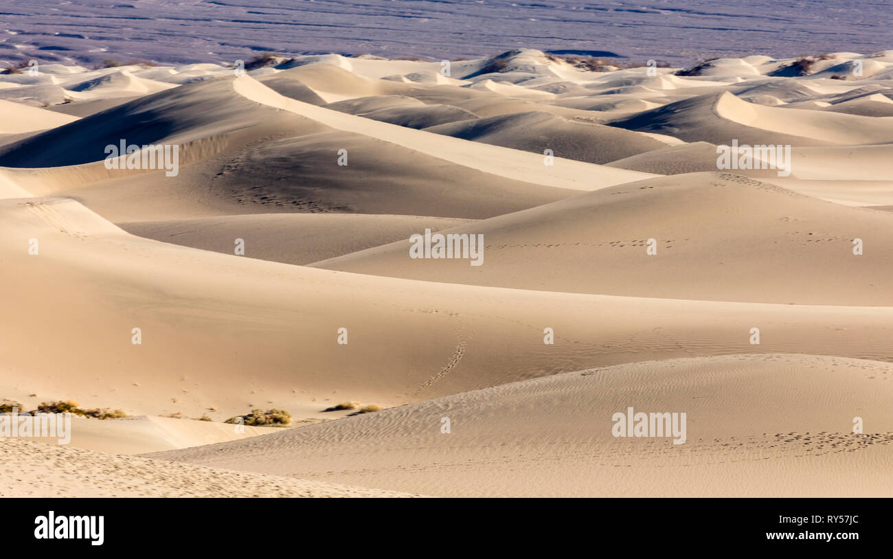 Les dunes de sable de Mesquite Flat sont une vaste zone de dunes de sable bordées de montagnes dans la vallée de la mort et un lieu touristique de choix pour les randonneurs et les photographes. Banque D'Images