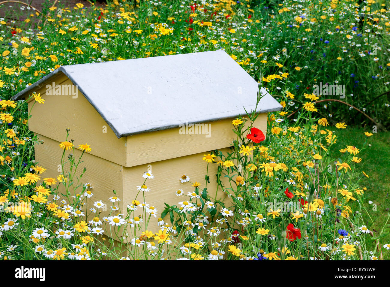 Une ruche situé dans un jardin de fleurs sauvages entre jaune, mauve, blanc et les fleurs rouges Banque D'Images