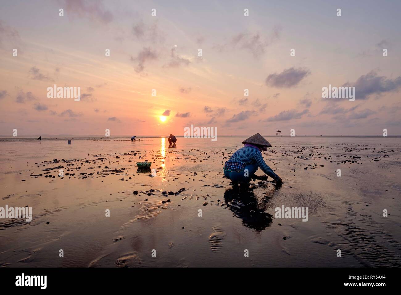 Vietnam, province de Tien Giang, rendez-Cong, la plage, la pêche à pied Banque D'Images