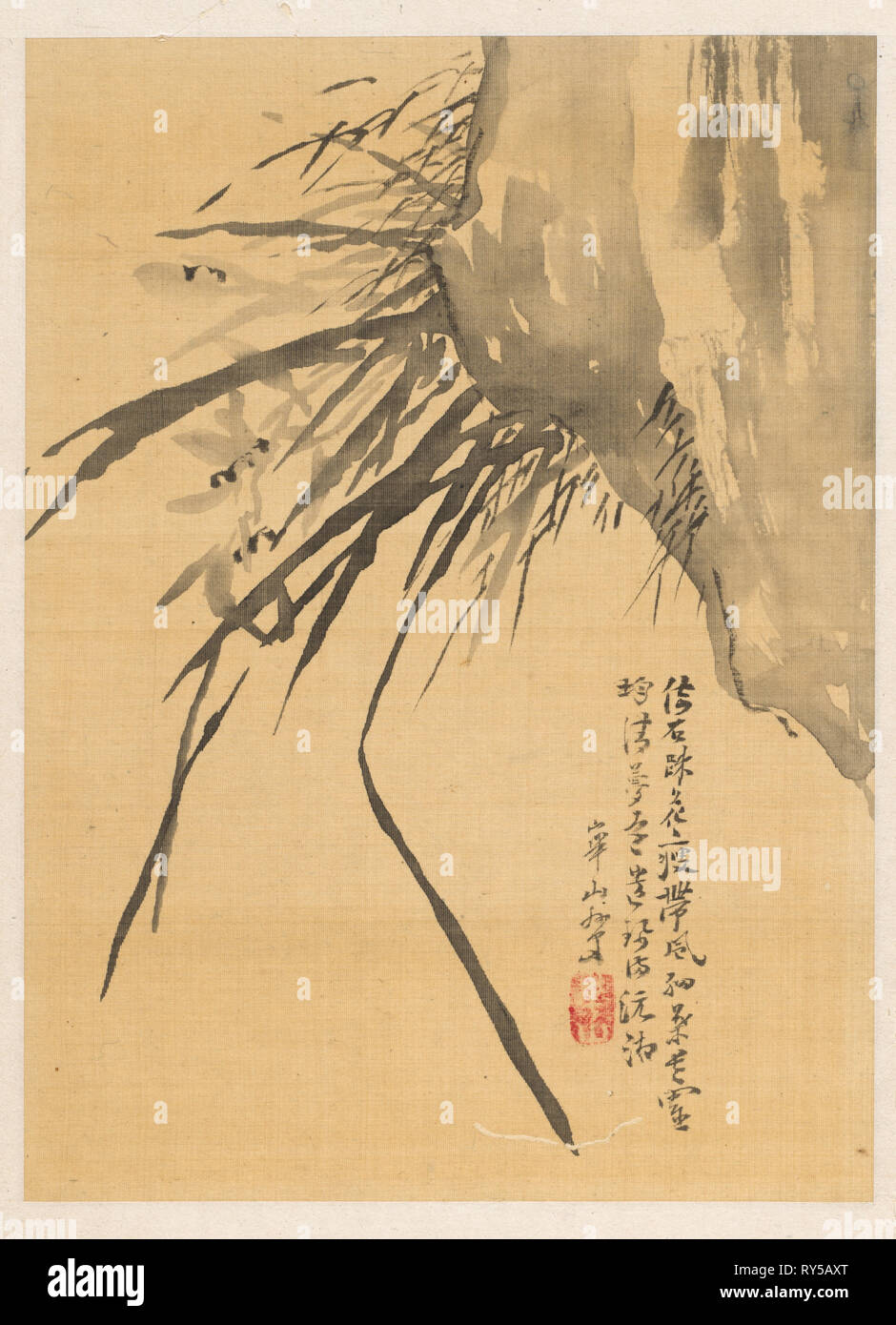 Orchid, 19e siècle. Watanabe Kazan (1793-1841), Japonais. Album Leaf ; encre sur soie ivoire ; feuille : 26,3 x 19,1 cm (10 3/8 x 7 1/2 po Banque D'Images
