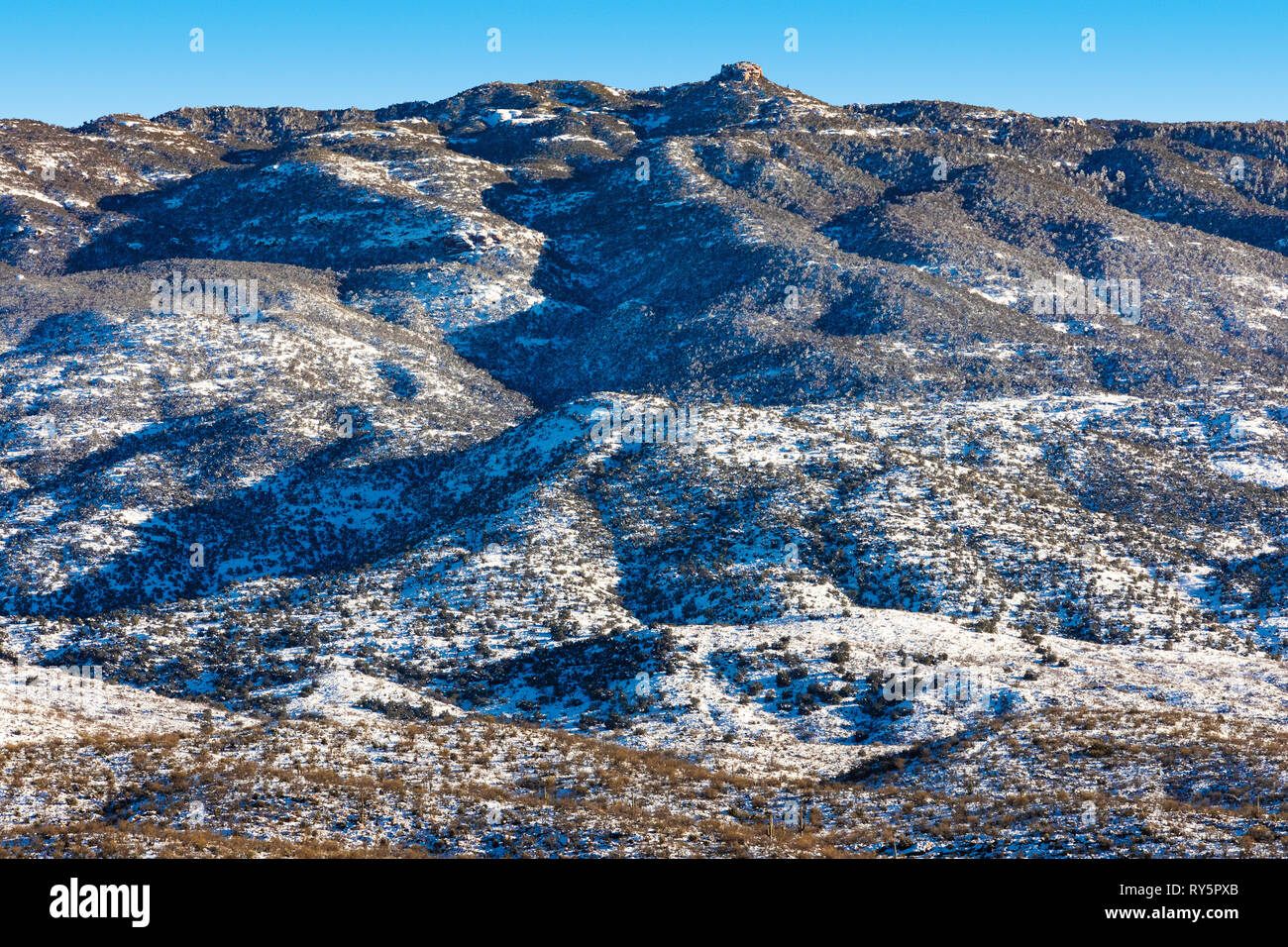 Rincon montagnes avec de la neige fraîche, Redington Pass, Tucson, Arizona Banque D'Images