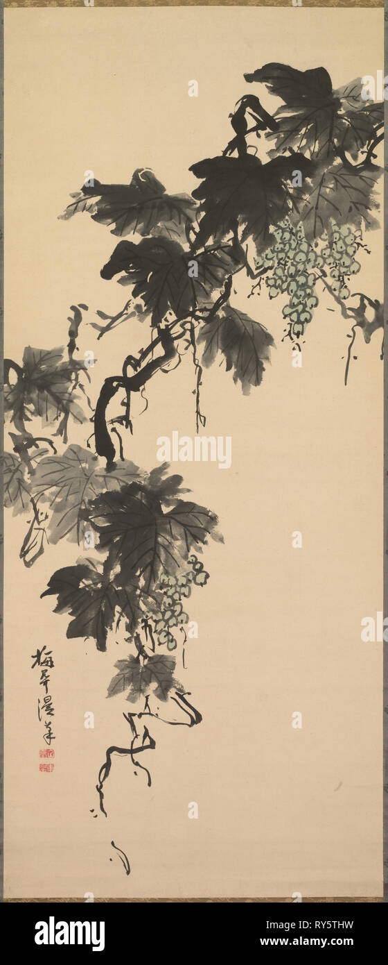 Les raisins, années 1800. Baikan Sugai (japonais, 1784-1844). Défilement pendaison ; l'encre et couleurs légères sur papier ; peinture uniquement : 129 x 53,3 cm (50 13/16 x 21 in.) ; y compris montage : 190,5 x 64,8 cm (75 x 25 1/2 po Banque D'Images
