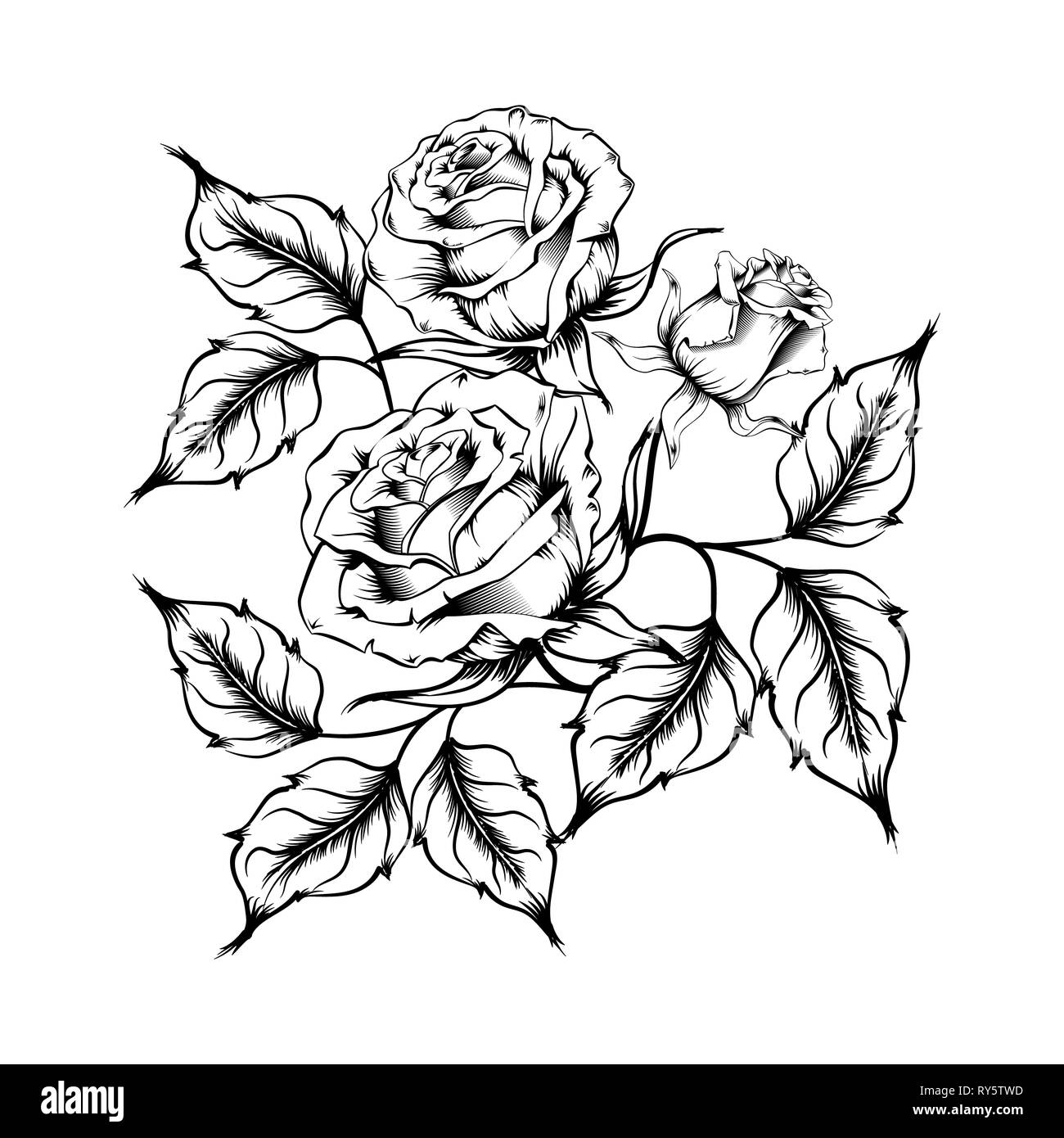 Rose Tattoo. Silhouette de roses et de feuilles sur un fond blanc. Options de style. Plan des roses Banque D'Images