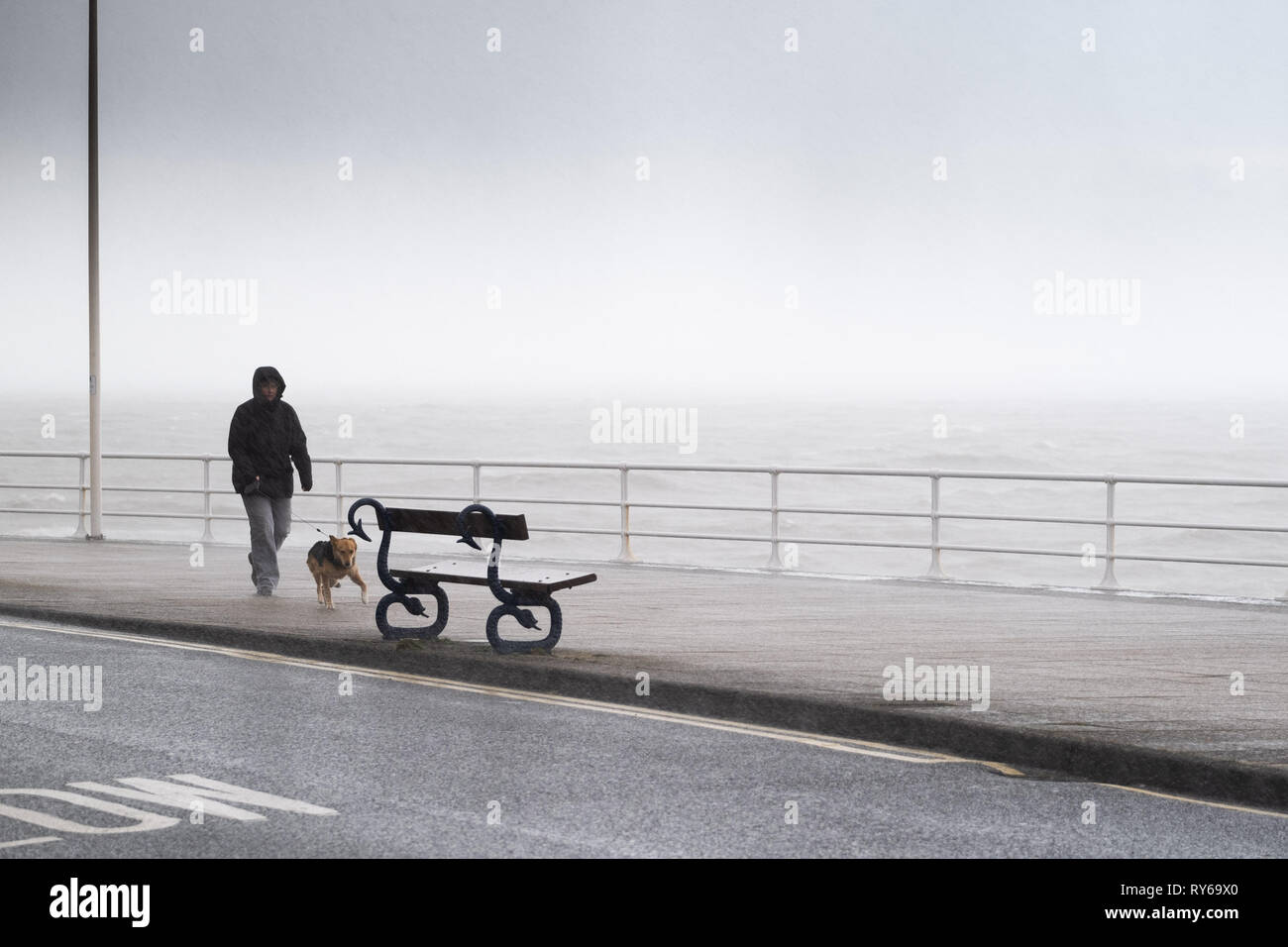 Aberystwyth, Pays de Galles, Royaume-Uni. Mar 12, 2019. Météo France : des coups de vent de tempête Gareth - le troisième ouragan de 2019 - commencer à prendre de la vitesse comme ils ont frappé Aberystwyth, sur la côte de la Baie de Cardigan, West Wales UK mardi après-midi. Des rafales de plus de 80mph sont prévues dans les régions du nord de l'exposé, avec le risque de dommages graves à la propriété et une grave perturbation des déplacements et power services Crédit photo : Keith morris/Alamy Live News Banque D'Images