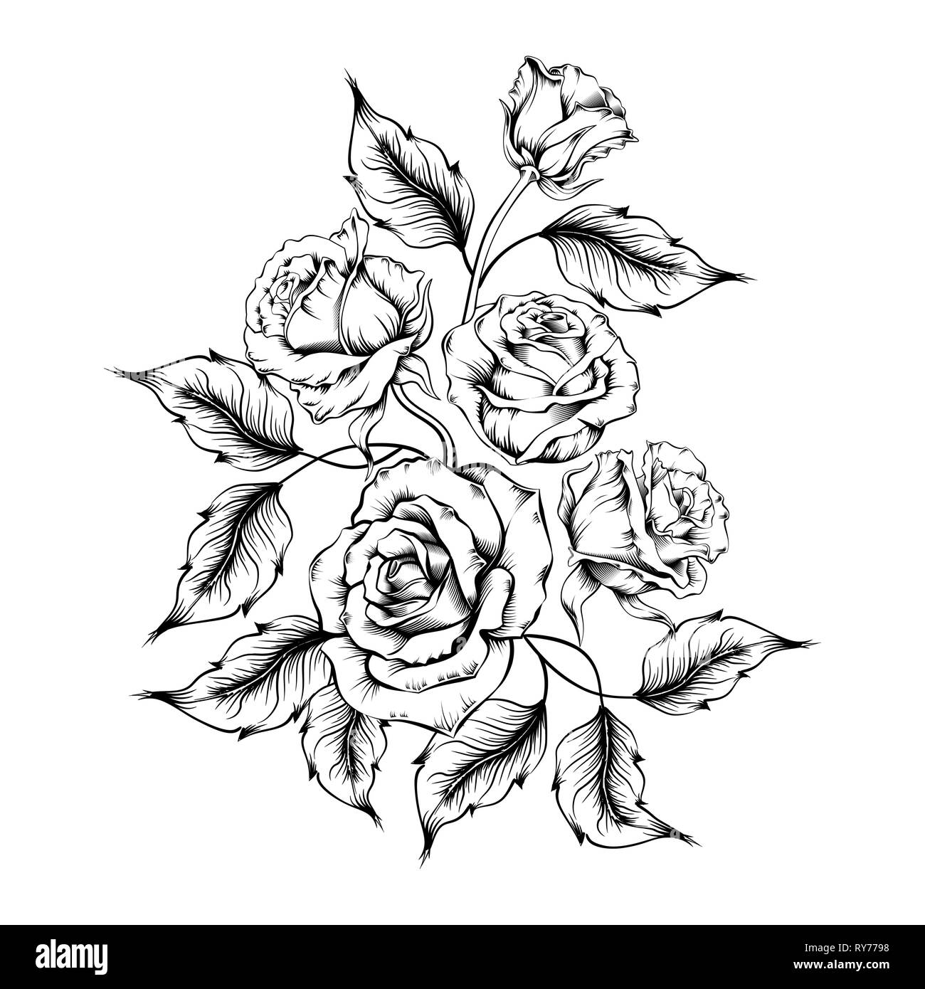 Rose Tattoo. Silhouette de roses et de feuilles sur un fond blanc. Options de style. Plan des roses Illustration de Vecteur