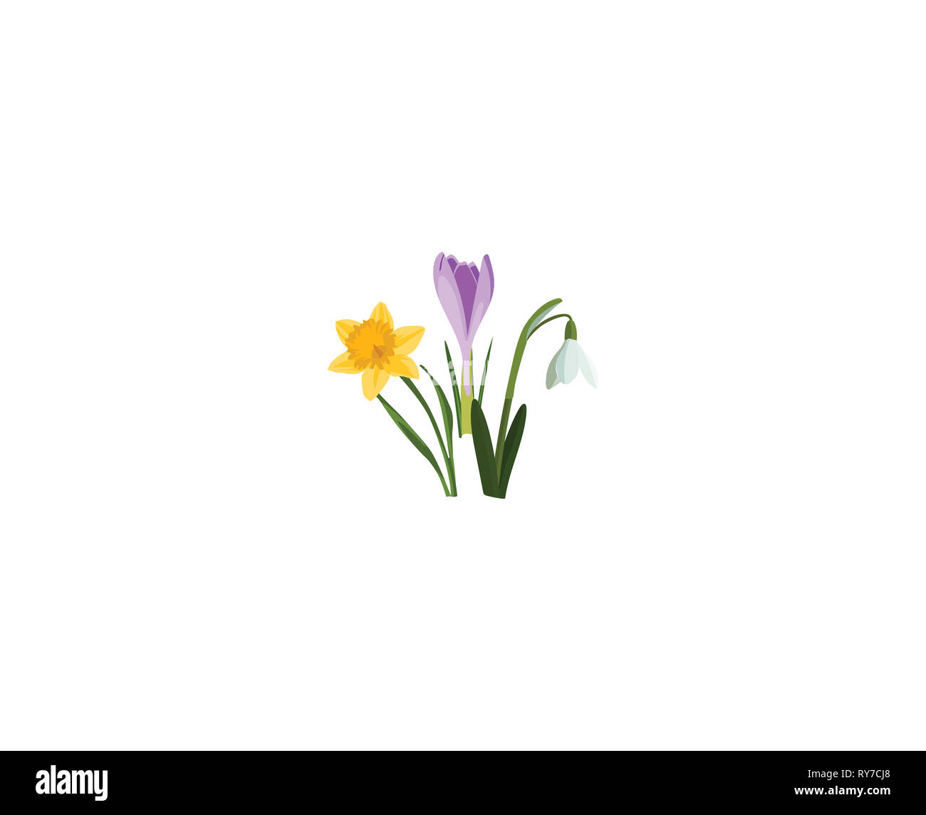 Frontière perméable avec fleurs de printemps. Bouquet de Crocus, narcisses, perce-neige sur blanc. Illustration botanique. Coloré. Banque D'Images