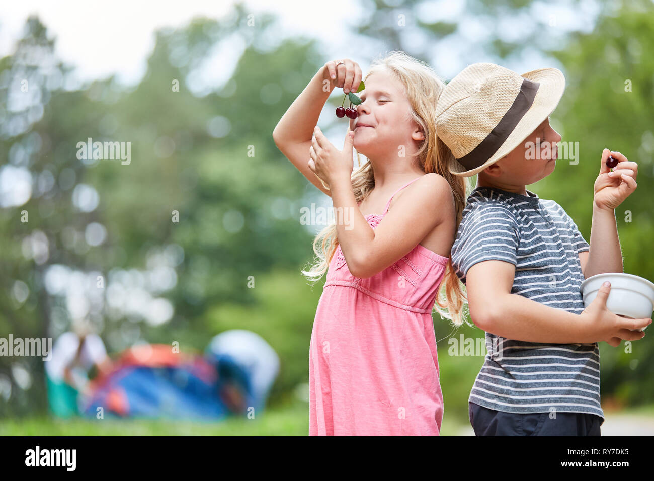 Deux enfants choisir et manger de délicieuses cerises ensemble en vacances d'été Banque D'Images