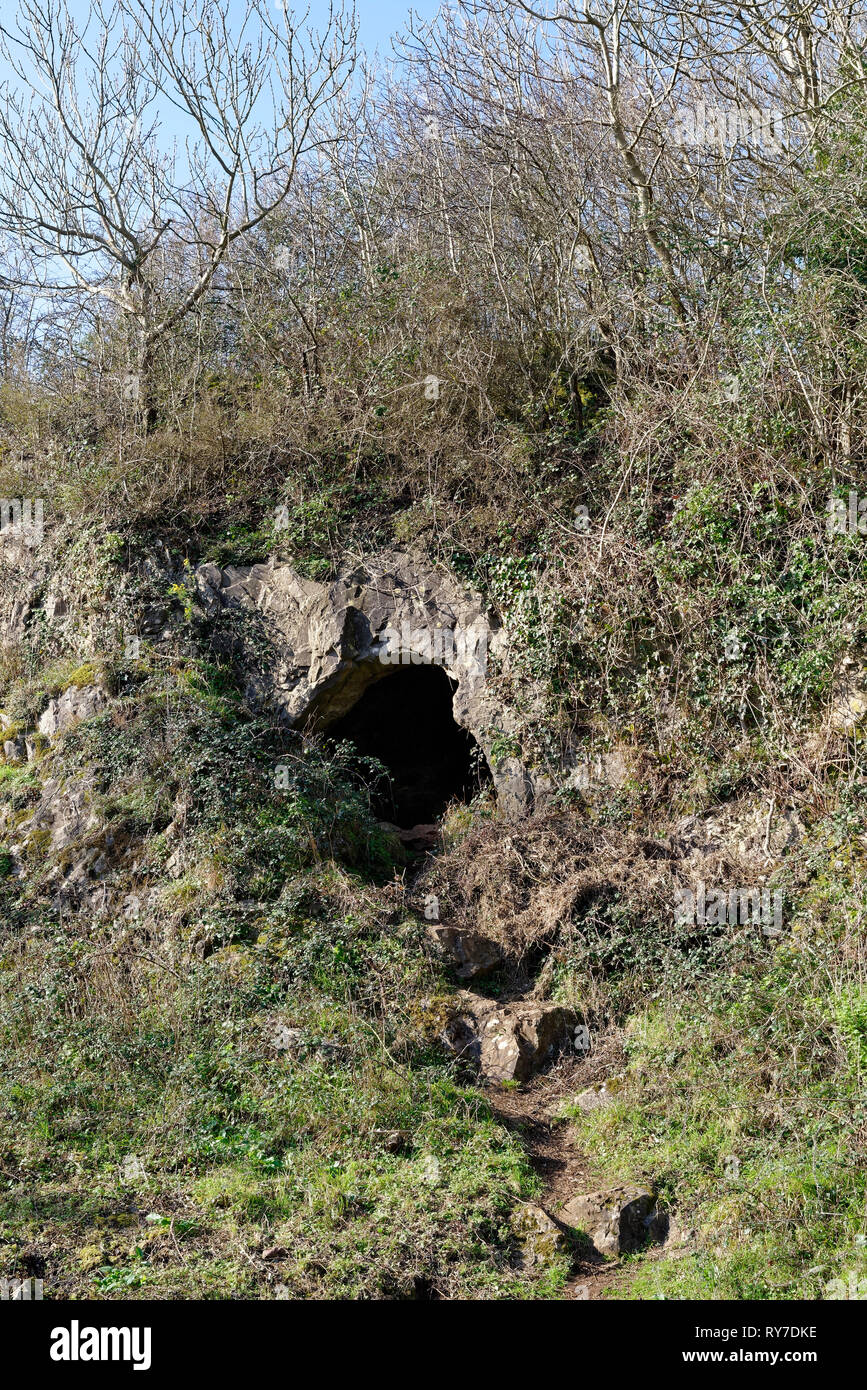 Plage de trou ou trou du diable grotte sur le sud-est de l'éperon de l'escroc Peak, collines de Mendip, Somerset, UK Banque D'Images