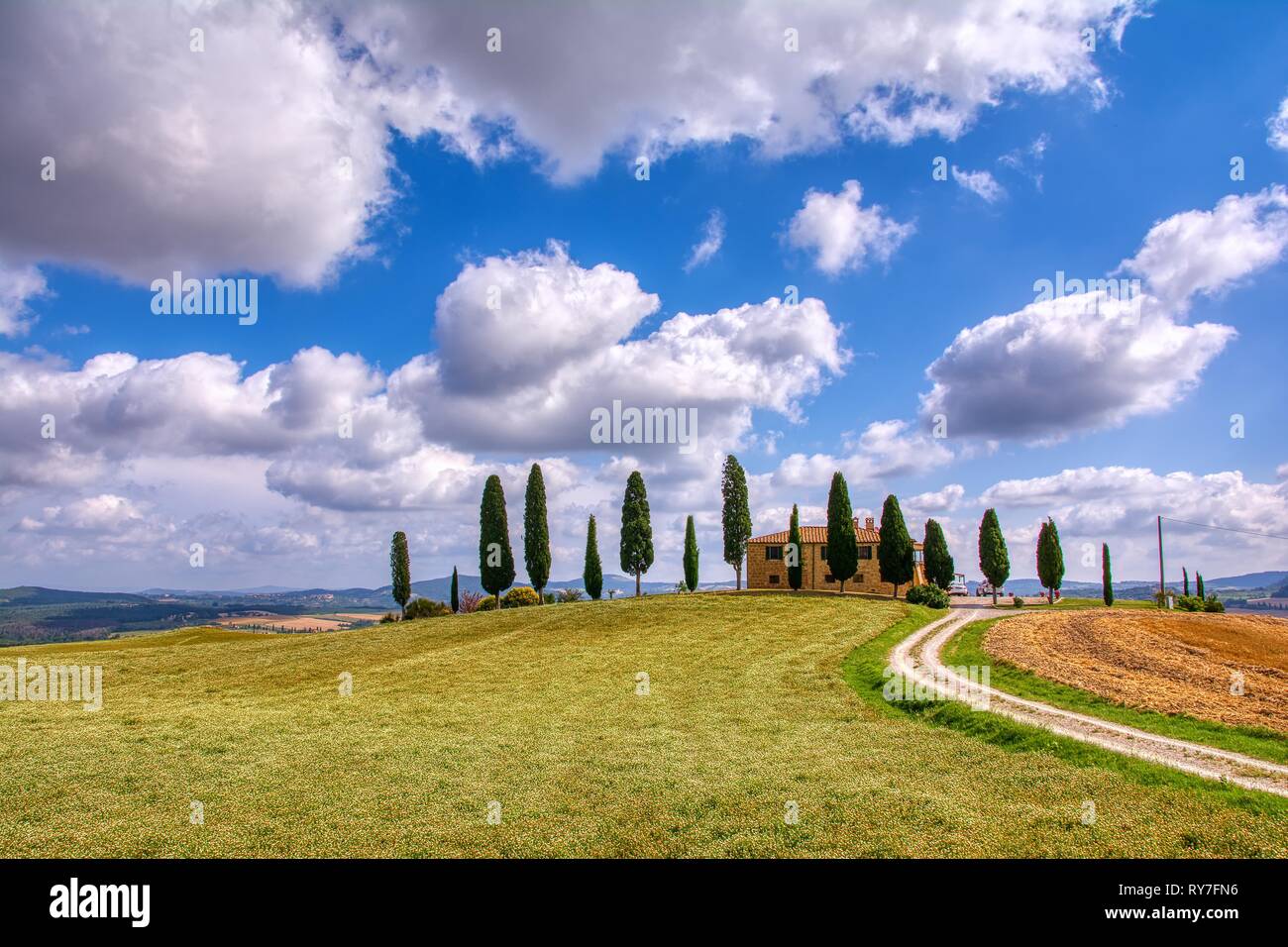 Toscane, Italie - 6 juillet 2018 : cyprès et prairie avec maison typique de Toscane, Val d'Orcia, Italie - Toscane Banque D'Images