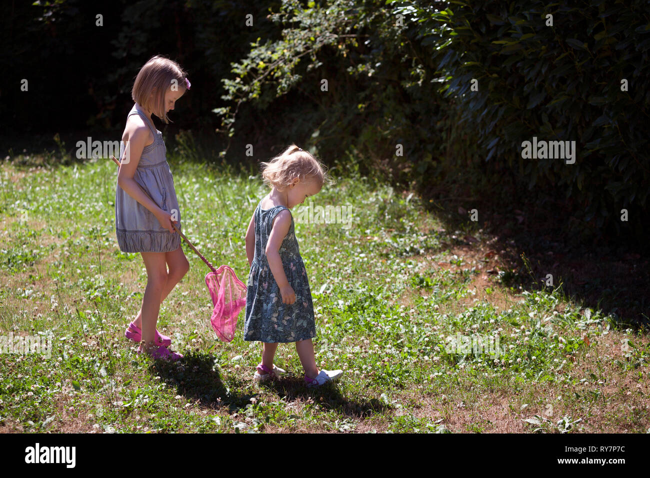 Deux enfants dans une arrière-cour, la chasse aux papillons avec un filet à papillons Banque D'Images