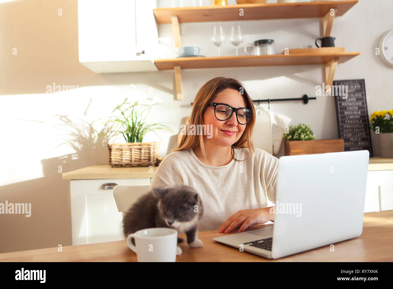 Belle femme travaillant avec peu d'adorable chaton à la maison Banque D'Images