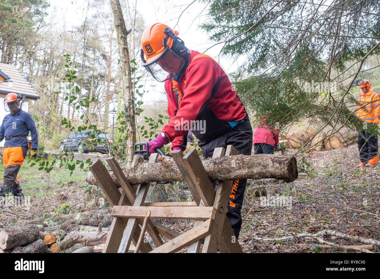 Compétences en foresterie l'éducation : les personnes prenant part à un atelier de formation d'une journée à l'entretien et en toute sécurité l'utilisation d'une scie. Pays de Galles UK Banque D'Images