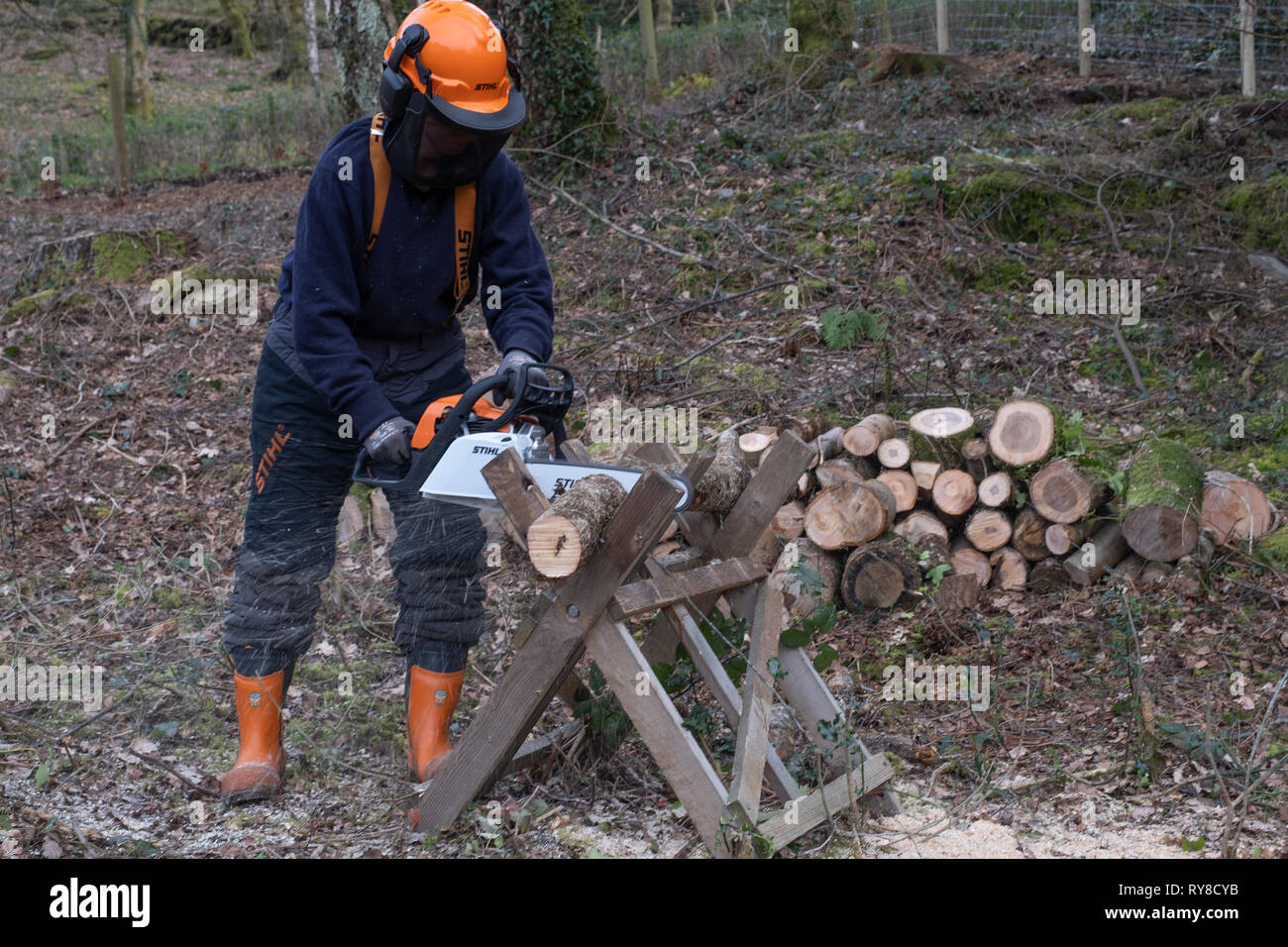 Compétences en foresterie de l'éducation : une femme participant à un atelier de formation d'une journée à l'entretien et en toute sécurité l'utilisation d'une scie. Pays de Galles UK Banque D'Images