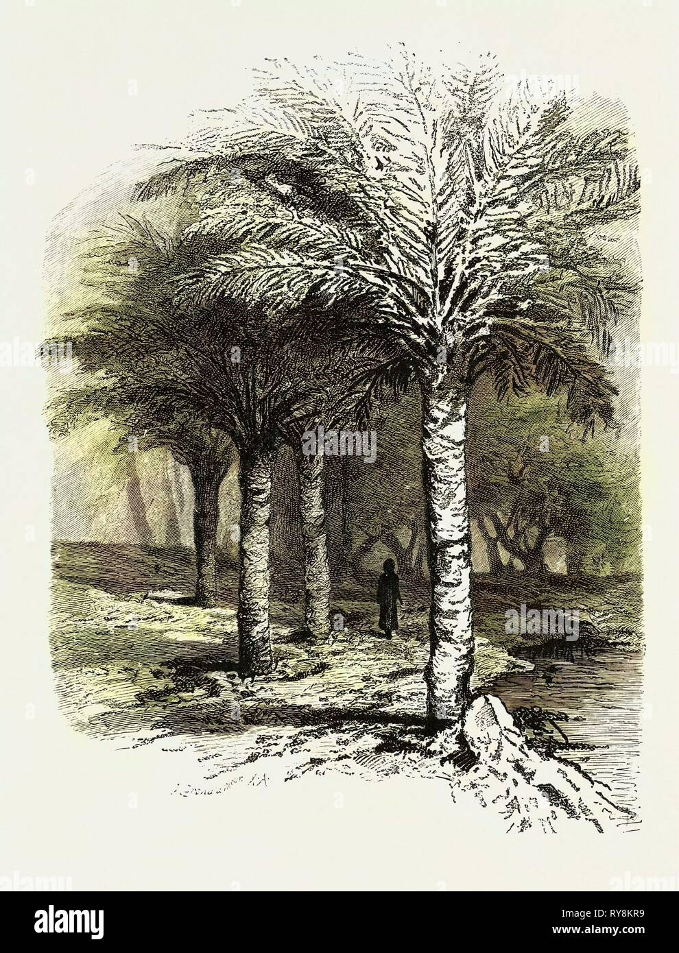 Le PUITS DE Moïse. L'Égypte, gravure 1879 Banque D'Images