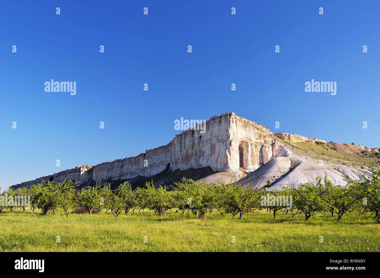 Paysage d'été avec une pierre blanche dans la vallée du soleil le matin. La Crimée, Ukraine Banque D'Images