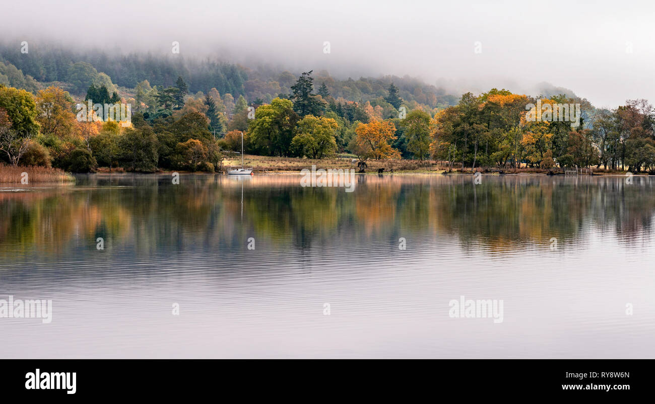 L'automne à Aberfoyle, près de Loch Ard Banque D'Images