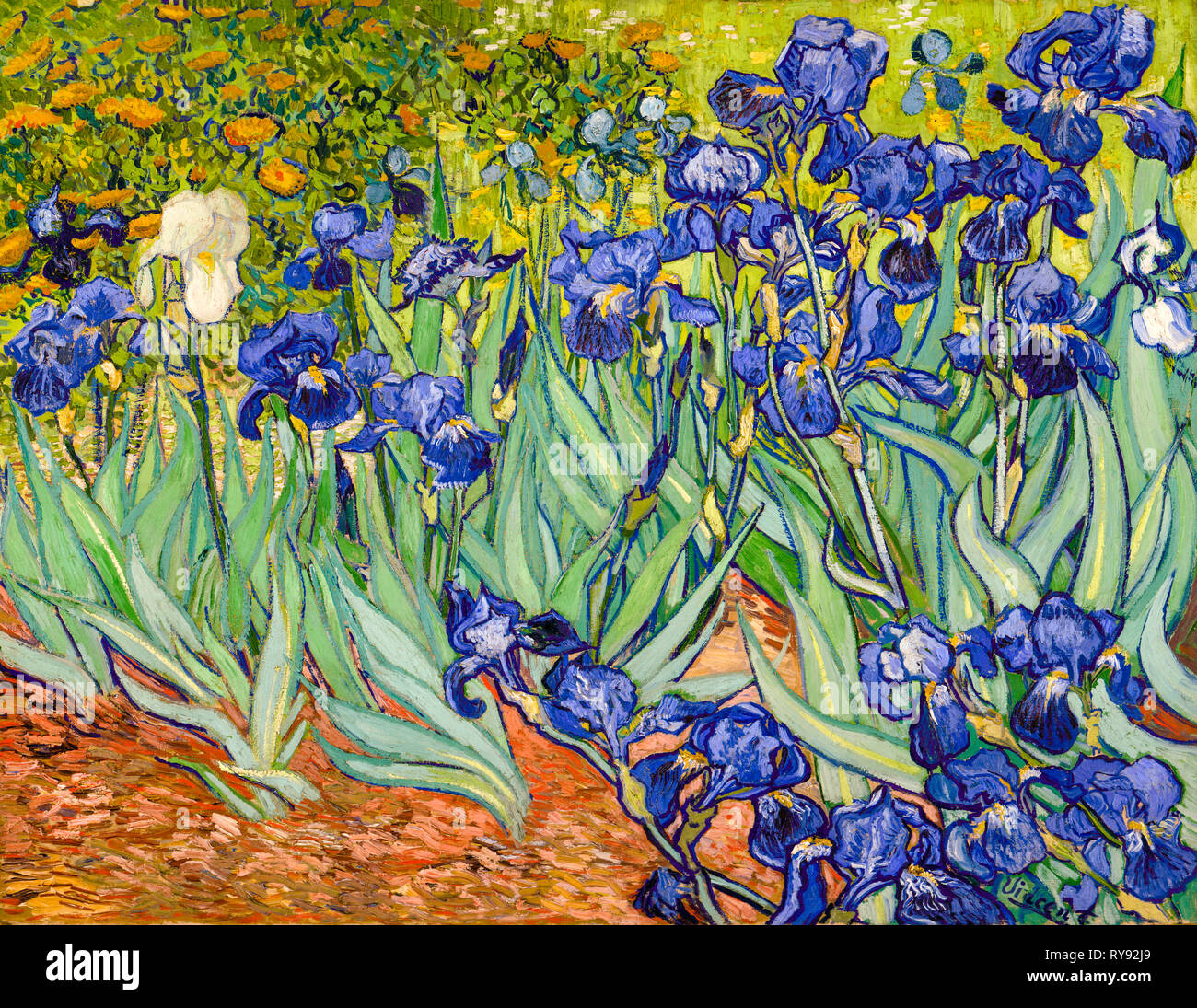 Iris, peinture post-impressionniste de Vincent van Gogh, 1889 Banque D'Images