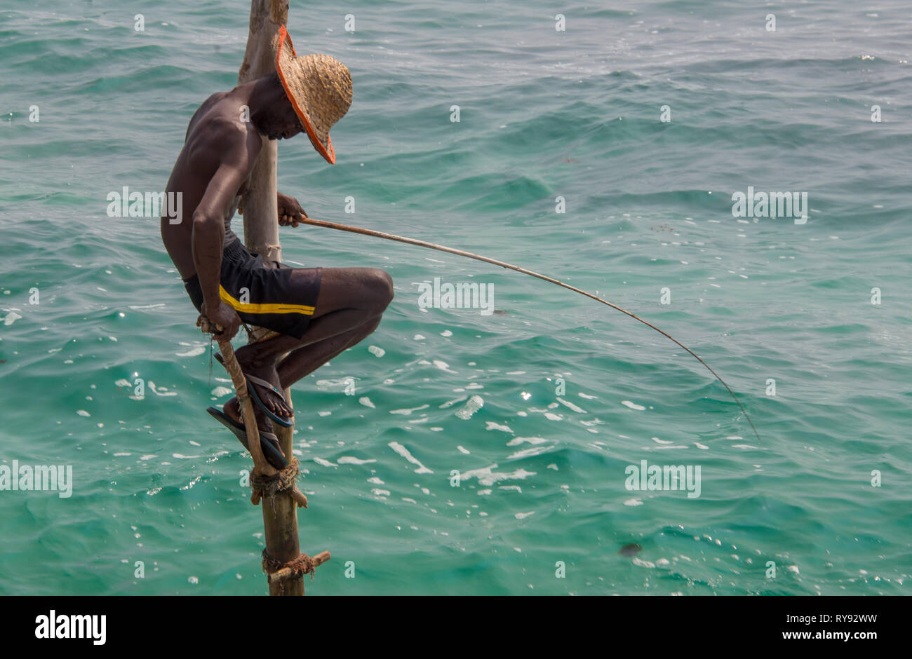 L'Asie, Sri Lanka, Koggala, pêche sur échasses Banque D'Images