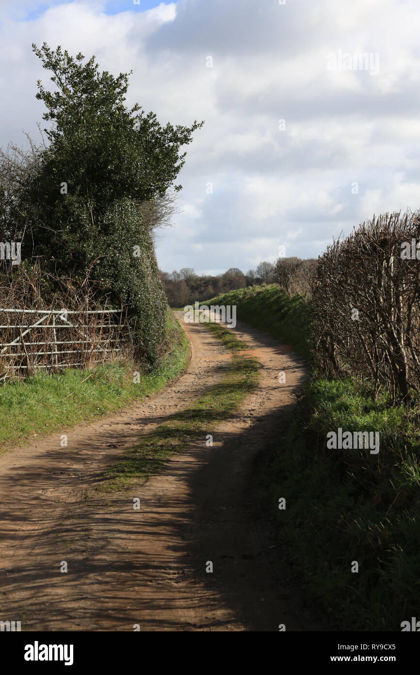 La voie menant à la réserve naturelle de tir près de Bewdley, Worcestershire, Angleterre, Royaume-Uni. Banque D'Images