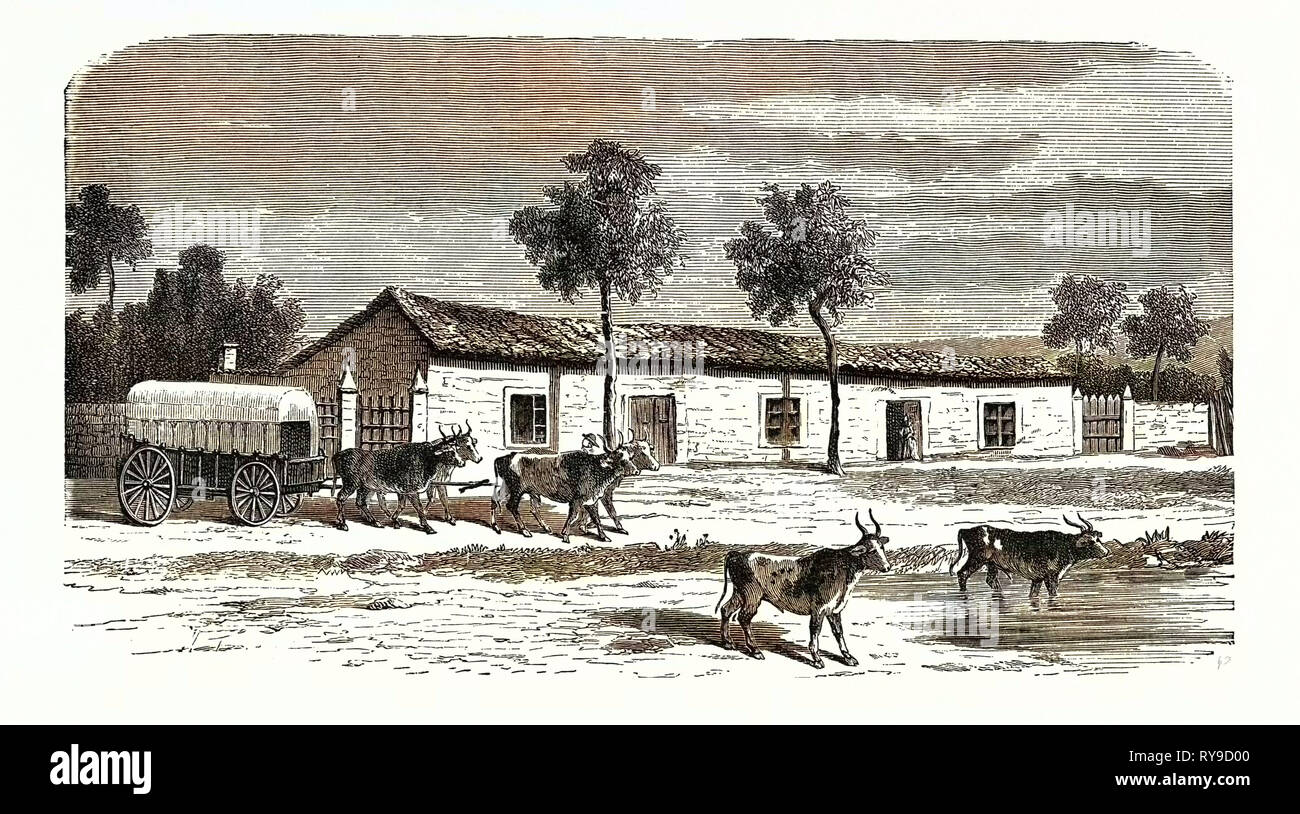 Une FERME BOER, AFRIQUE DU SUD Banque D'Images