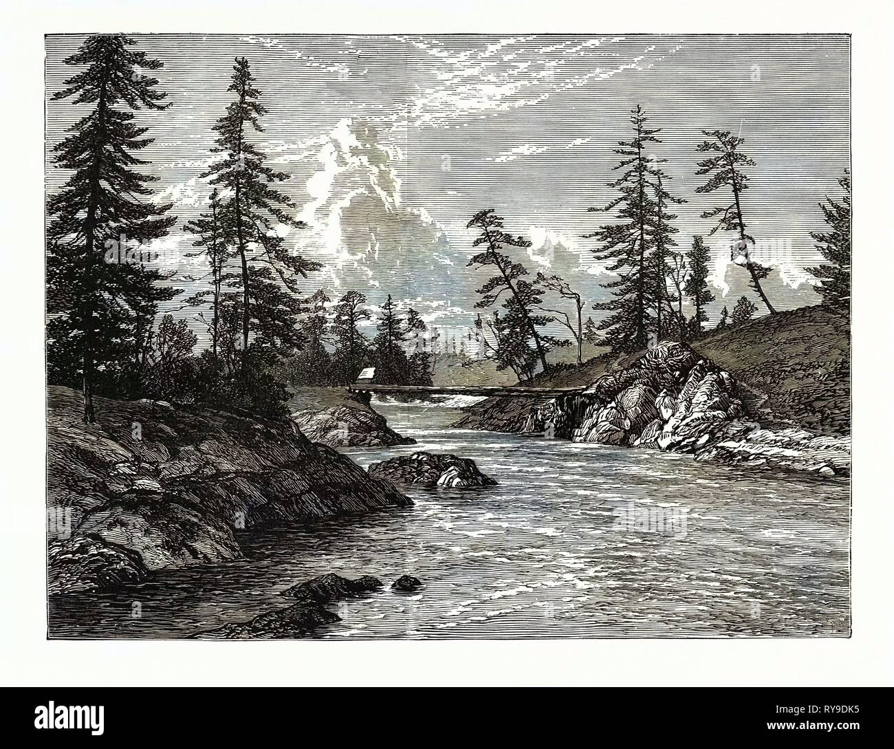 Avis de "la Gorge", ou de la partie la plus étroite de l'allongement de l'ouest du port de Victoria, île de Vancouver, avec des arbres d'Abies Douglasii Banque D'Images