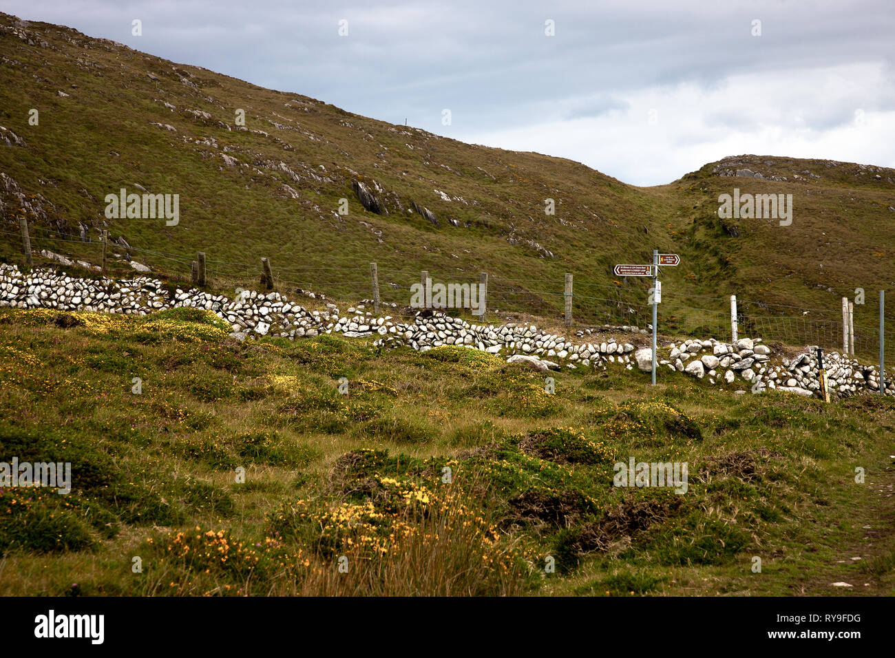 Dursey Island, Cork, Irlande. 11 août, 2015. Une piste pour les marcheurs de colline sur Dursey Island dans la péninsule de Beara à West Cork, Irlande. Banque D'Images