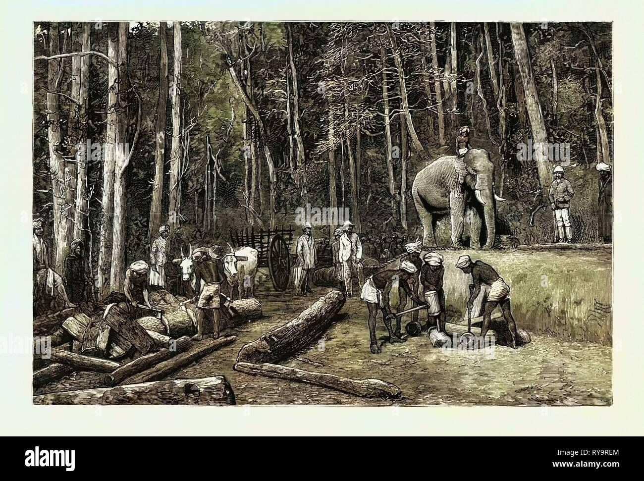 Autochtones dans une forêt de bois d'abattage persévérance intellectuelle, l'exploitation aurifère au Wynaad, Inde, 1884 Gravure Banque D'Images