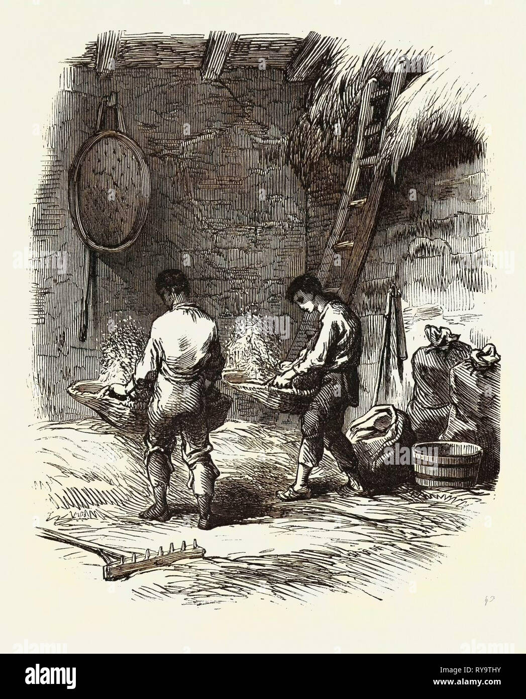 L'agriculture française : Vanner Banque D'Images