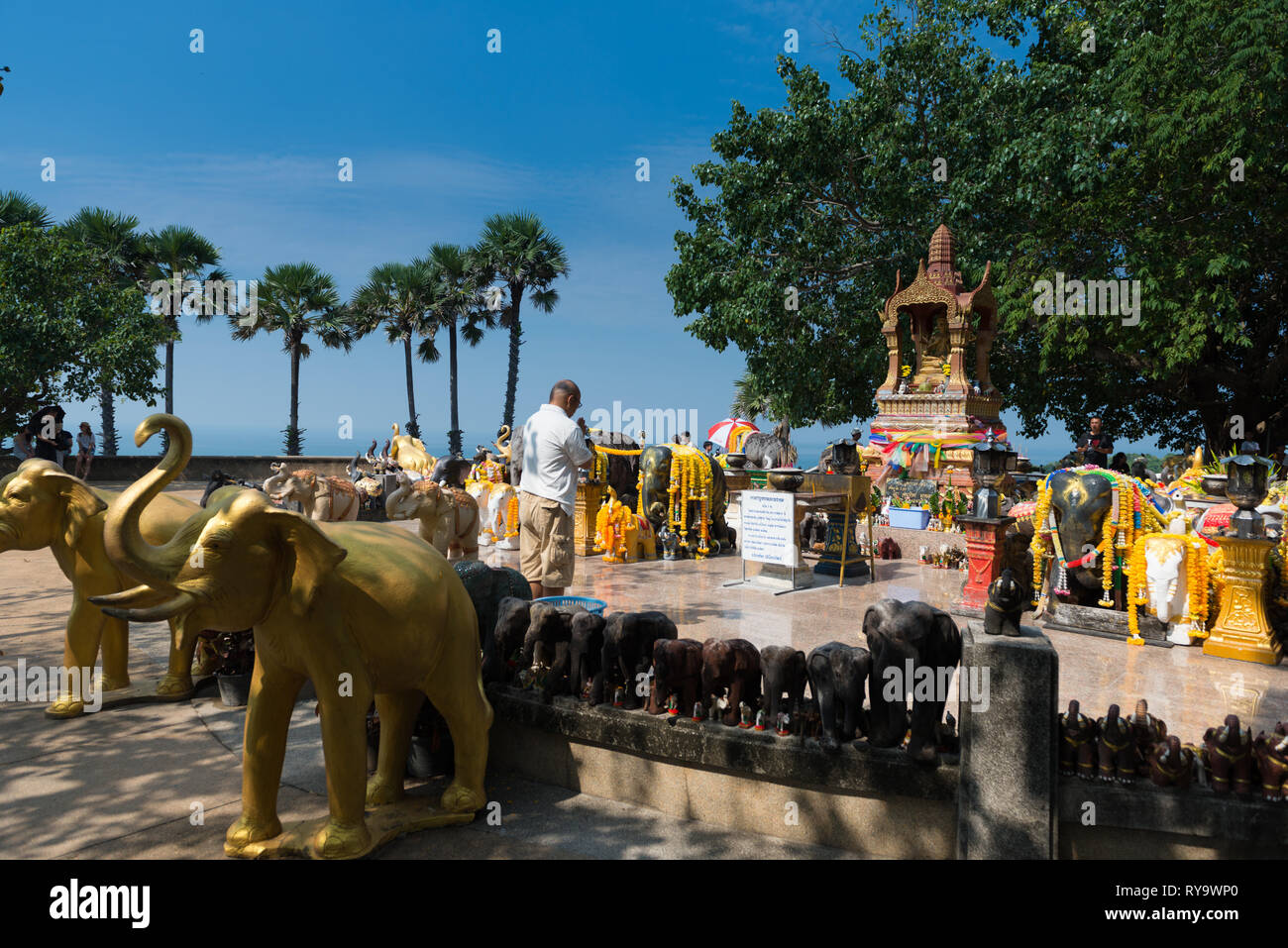 Homme qui prie dans le sanctuaire d'éléphants sur Promthep cape, Phuket, Thailand Banque D'Images