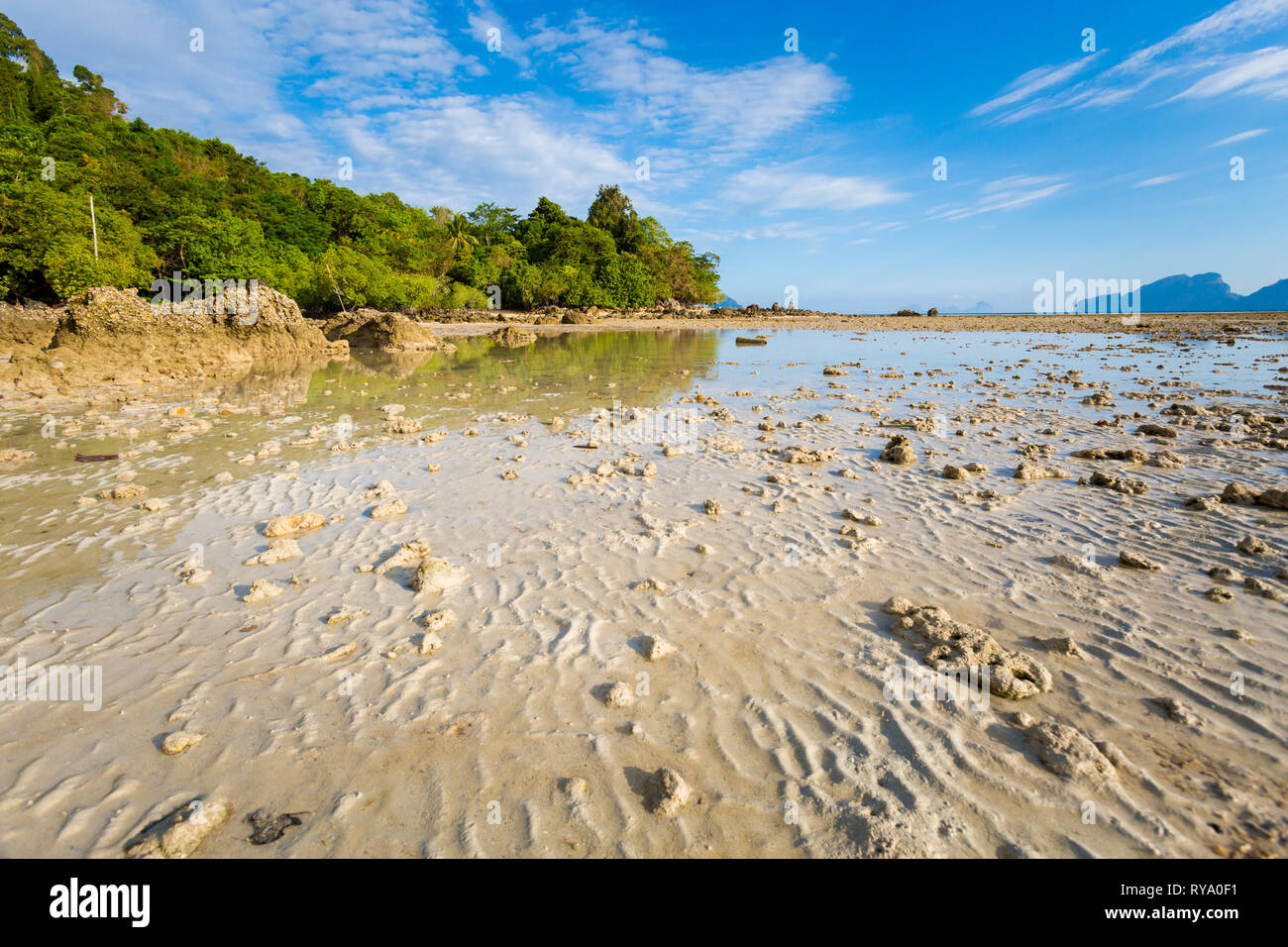 Summer seascape tropical sur Koh Kradan en Thaïlande. Prise le paysage longtemps principal sunrise beach avec ciel bleu et sable blanc et mangrove fores Banque D'Images