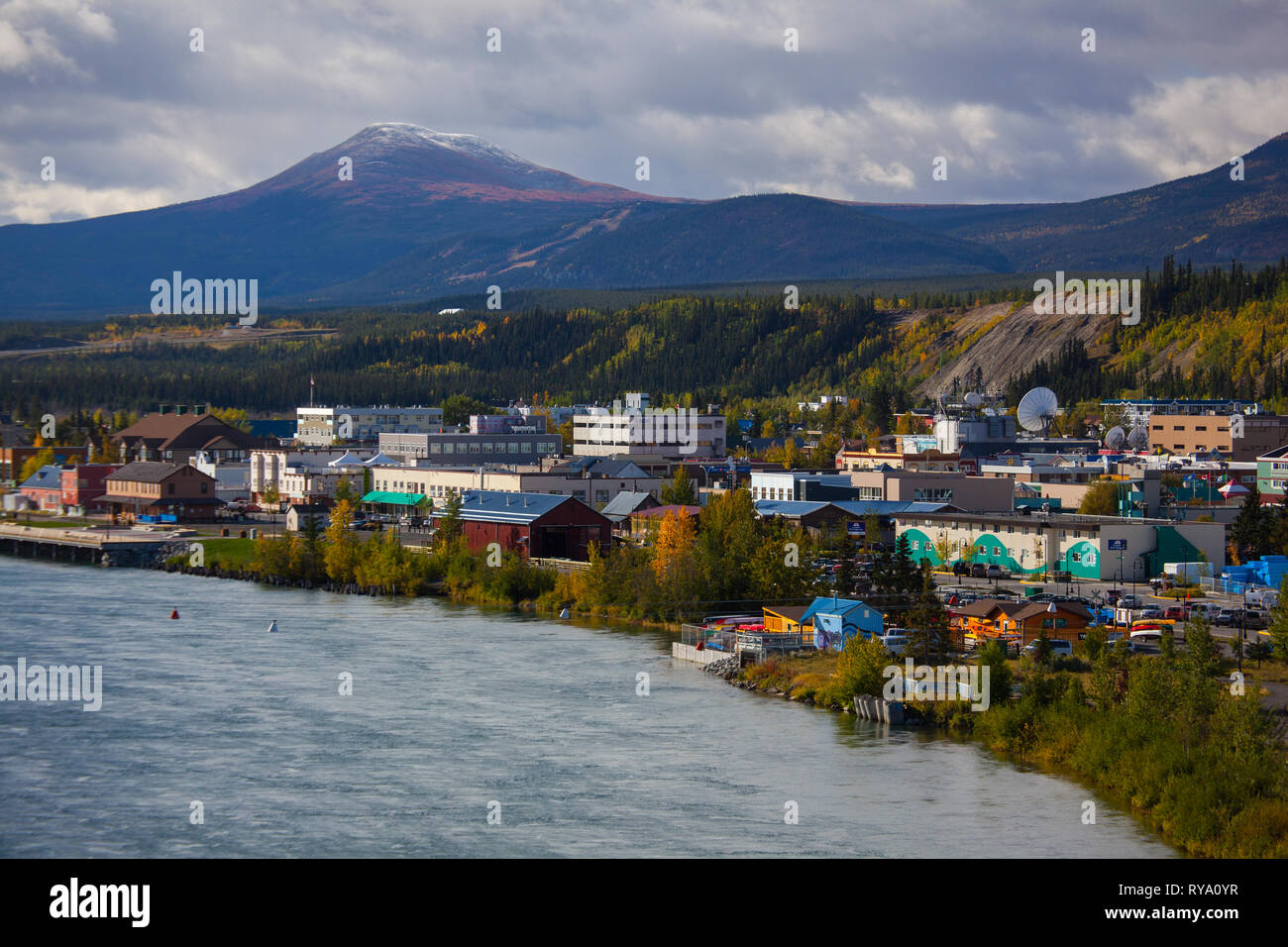 La région de Whitehorse, Whitehorse, Territoire du Yukon, Canada Banque D'Images