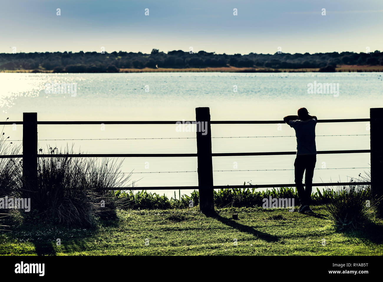 Guy Standing Silhouette dans les marais de la Dehesa de Abajo à l'eau et l'horizon dans un Banque D'Images