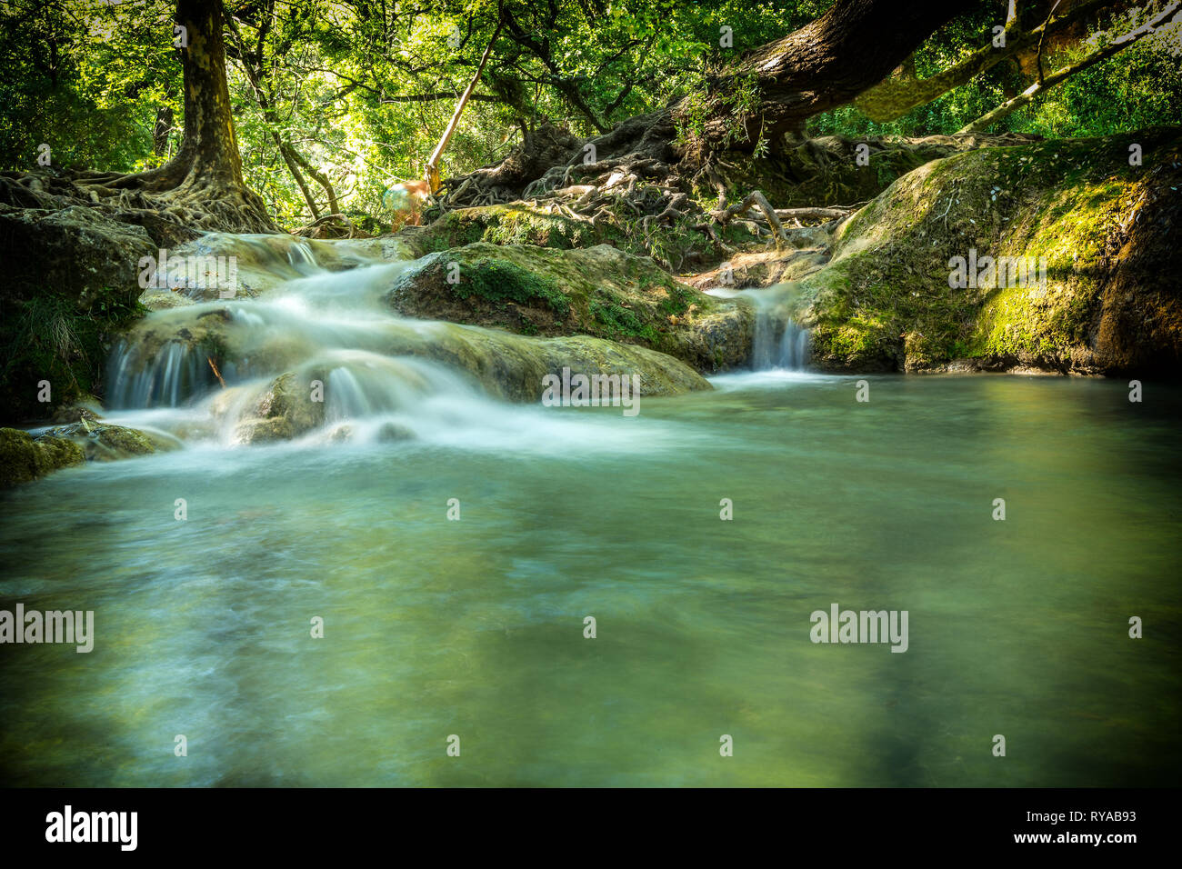 Wasserueberlauf zwischen zwei Wasserbecken in Cascade de Sillans, Sillans-la-Cascade, Frankreich Banque D'Images