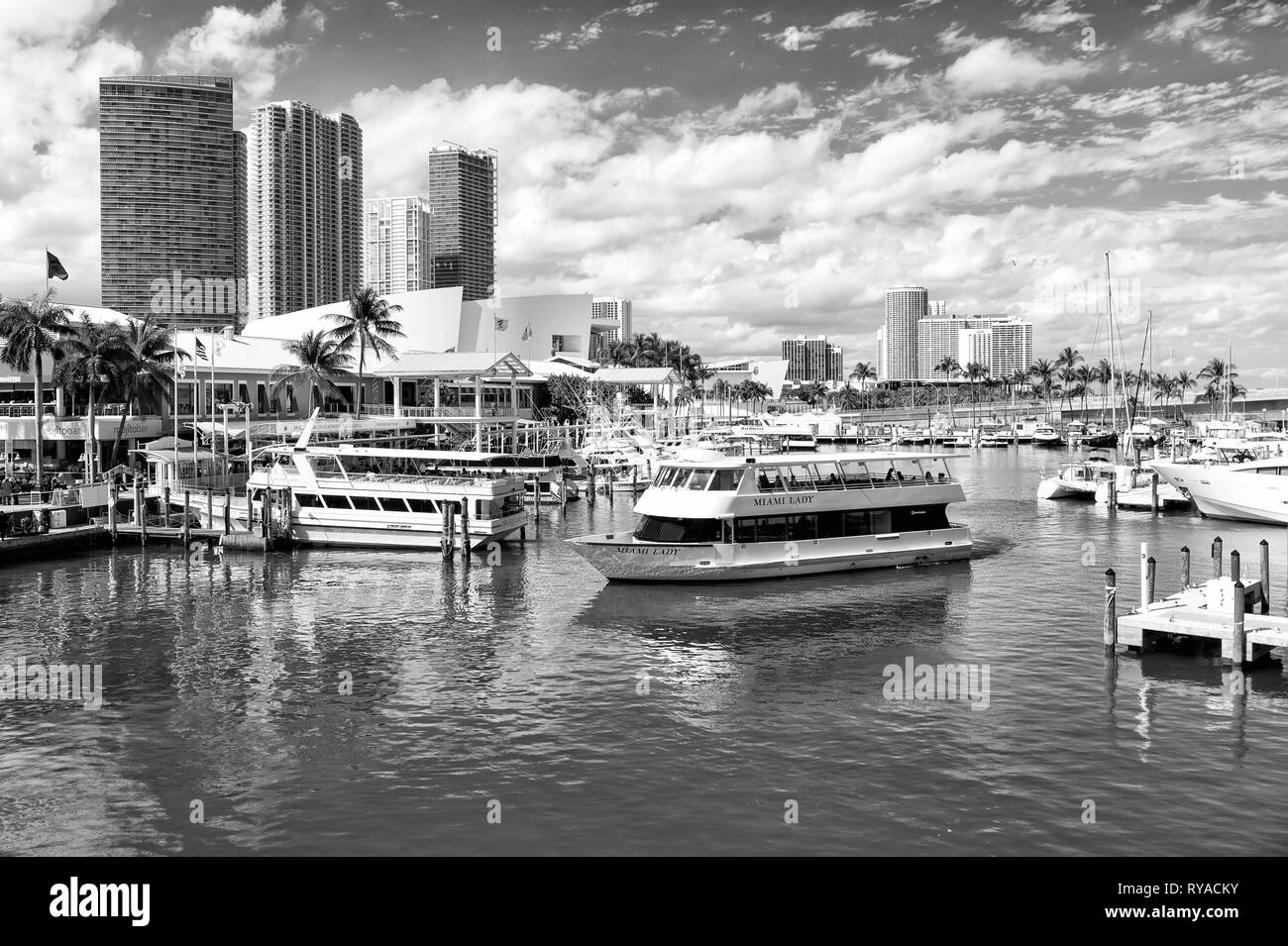 Miami, USA - 29 Février 2016 Ville : port ou port avec de hauts bâtiments et jetées avec les navires les navires sur l'eau de mer ou de surface ensoleillée d'amarrage sur Banque D'Images