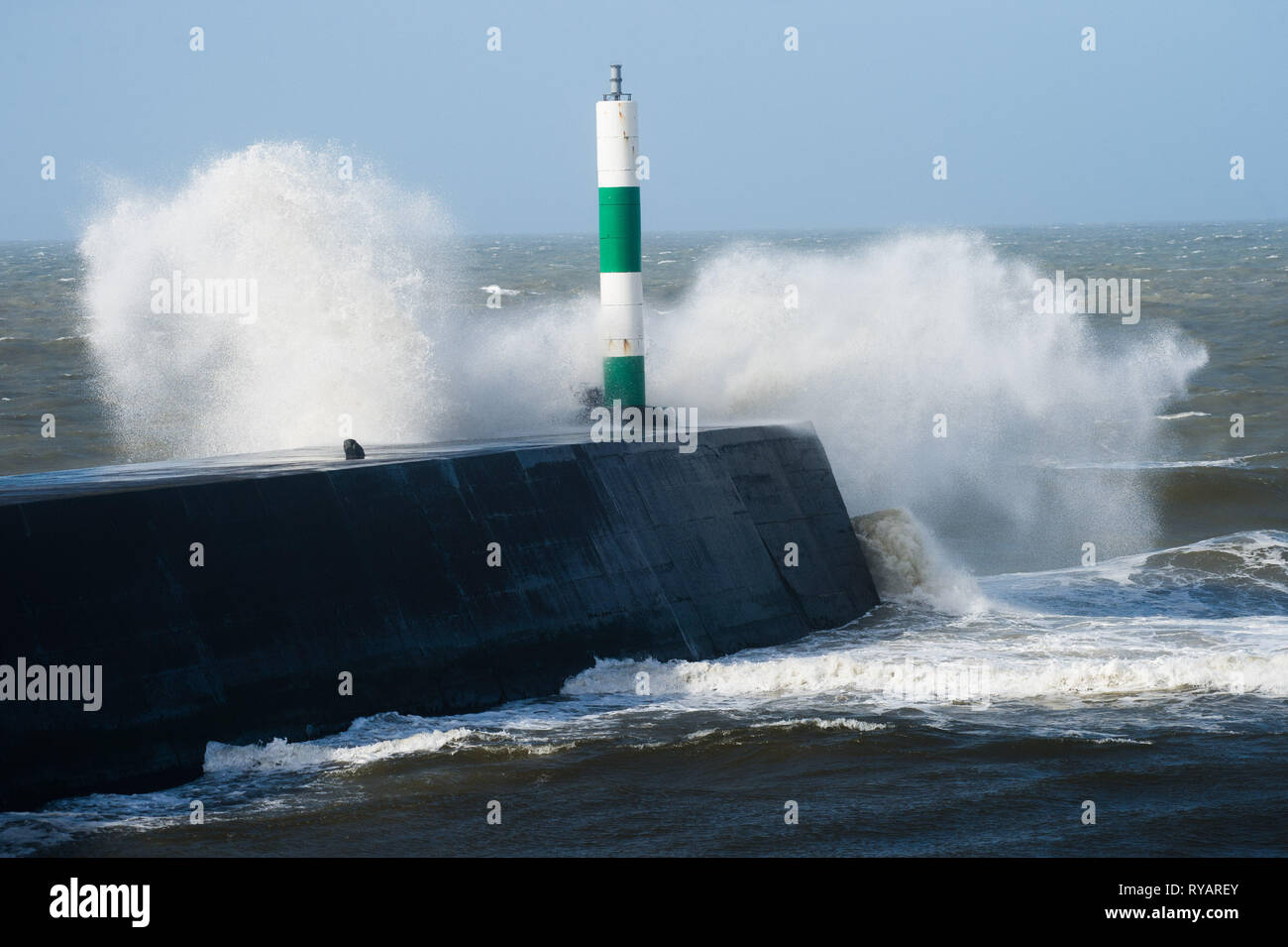 Aberystwyth, UK. Mar 13, 2019. Météo France : des coups de vent de tempête Gareth - le troisième ouragan de 2019 - hit Aberystwyth, sur la côte de la Baie de Cardigan, West Wales UK le mercredi après-midi. Des rafales jusqu'à 70 ou 80 mph prévisions sont exposés dans les régions du Nord, avec le risque de dommages graves à la propriété et une grave perturbation des déplacements et power services Crédit photo : Keith morris/Alamy Live News Banque D'Images