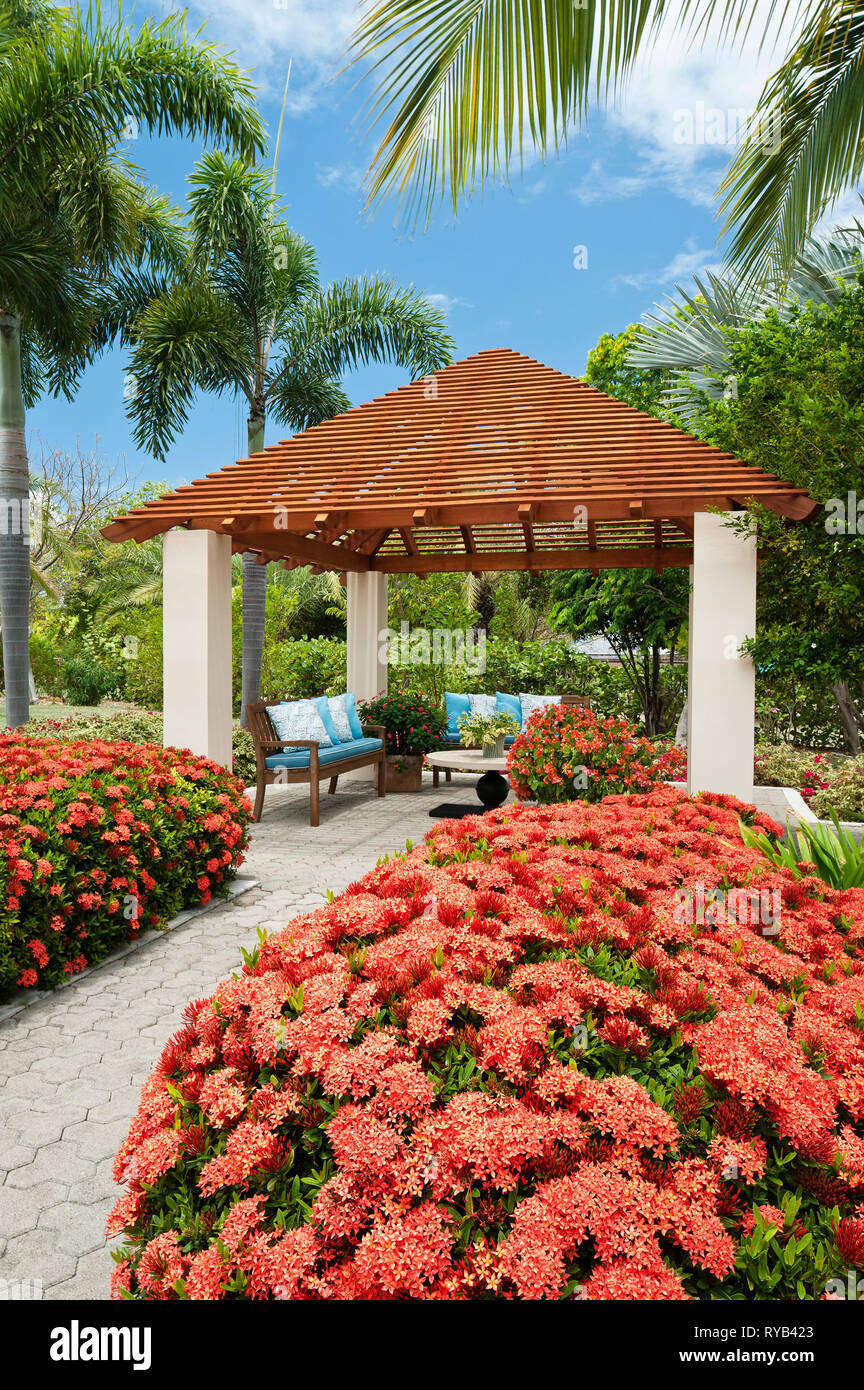 'Fleurs par gazebo à Antigua, Tamarind Cove' Banque D'Images