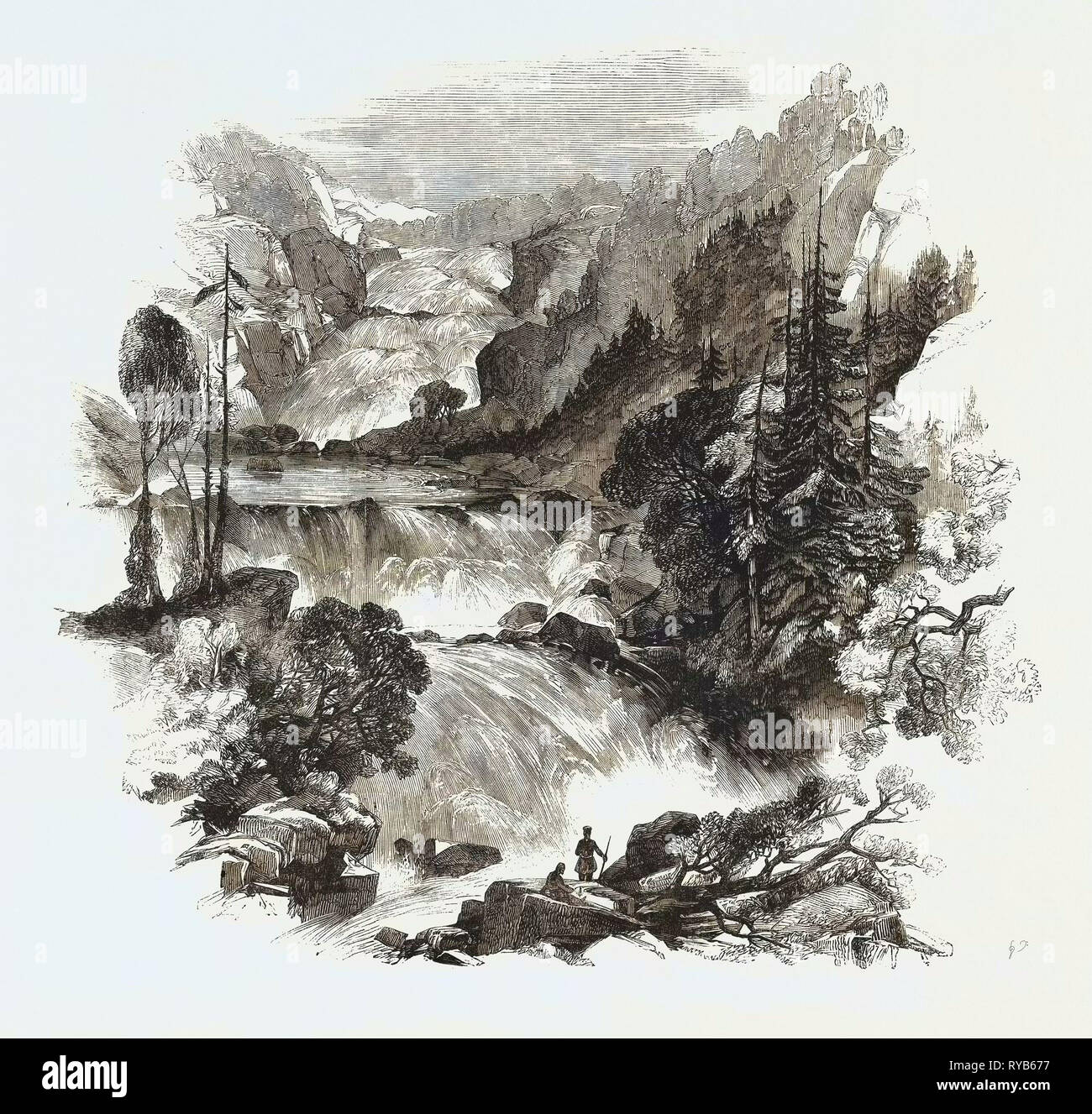 Grand portage de chien Banque de photographies et d’images à haute