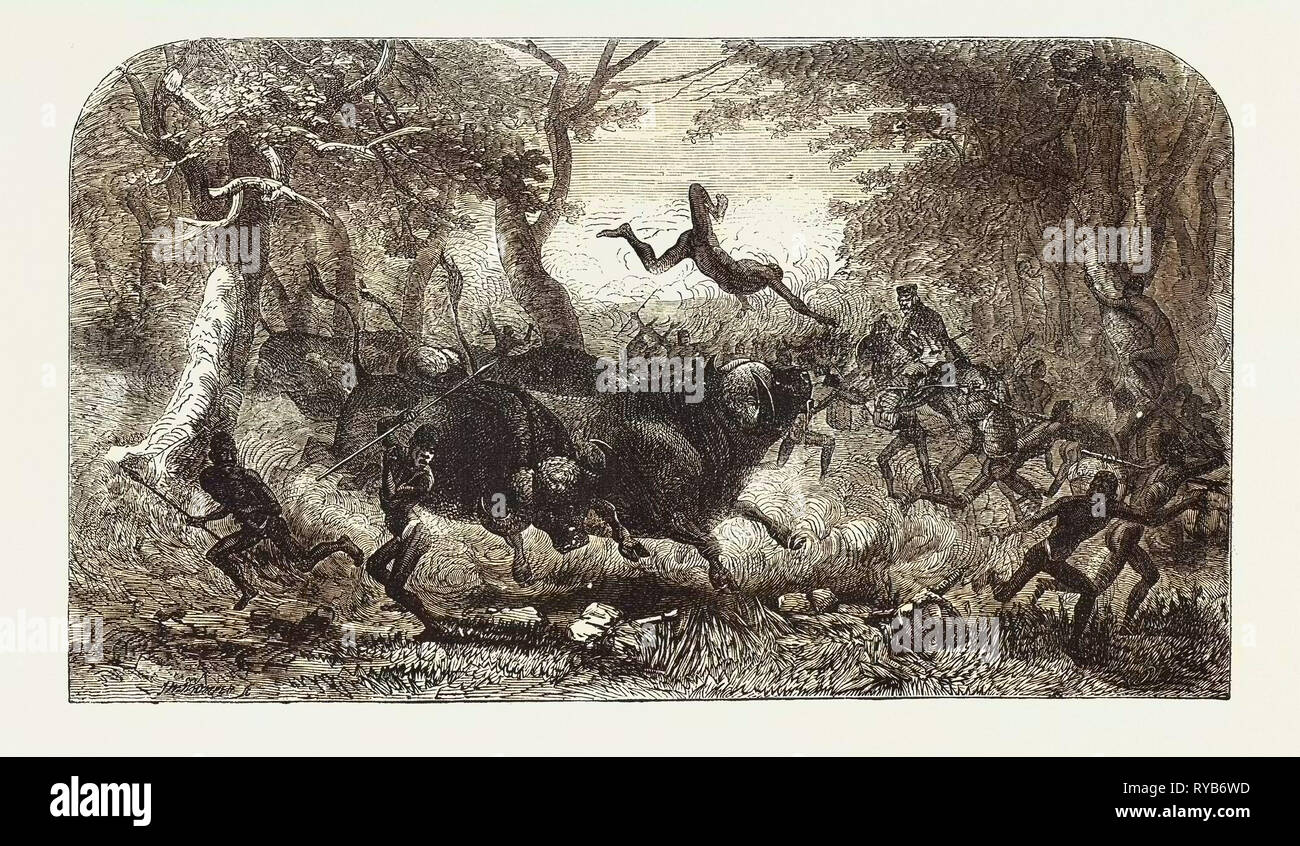 Le Dr Livingstone Voyages Missionnaires et les chercheurs en Afrique du Sud : la procession voyage interrompu, 1857 Banque D'Images