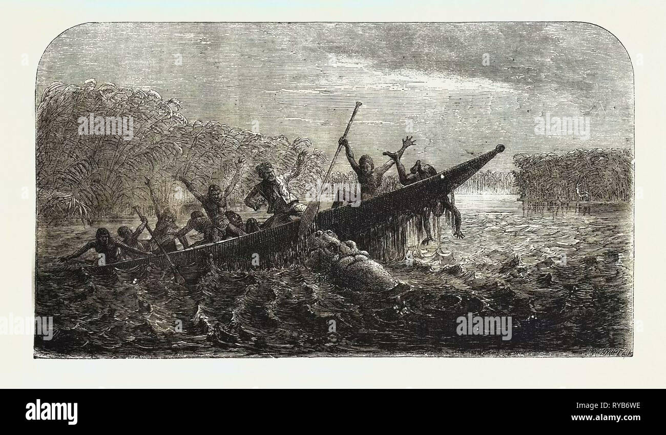 Le Dr Livingstone Voyages Missionnaires et les chercheurs en Afrique du Sud : bateau a chaviré par un hippopotame dépouillé de ses jeunes, 1857 Banque D'Images