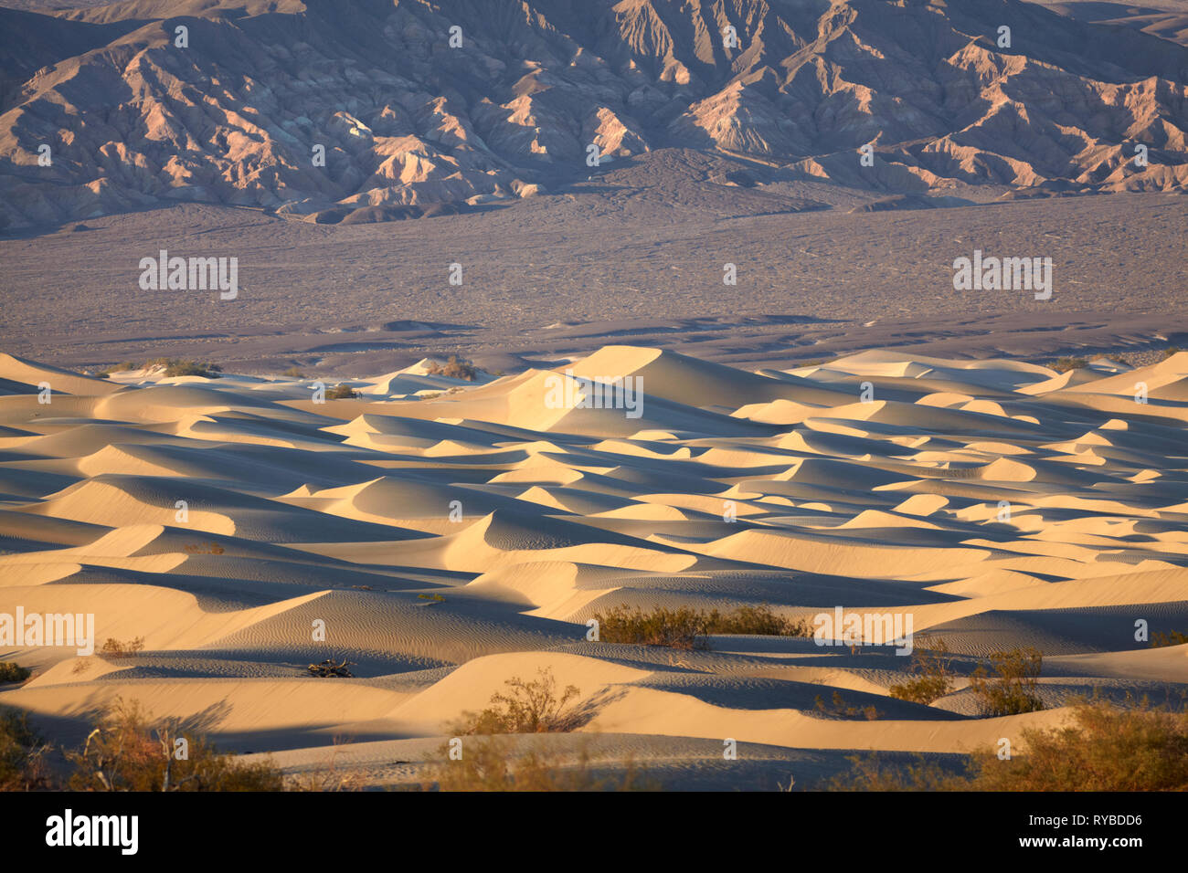 Mesquite Sand Dunes, Death Valley National Park, California, USA. Banque D'Images