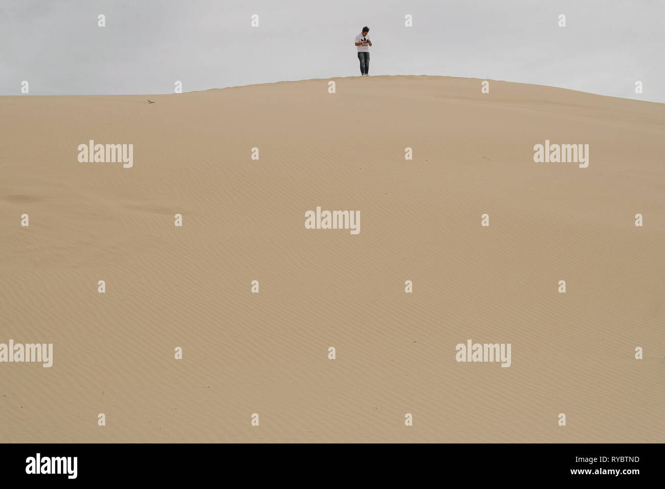 Dunes de sable du désert, Chihuahua Mexique Samalayuca. 52 km au sud de Ciudad Juárez, au beau milieu du désert, région connue sous le nom de Médanos Samalayuca. Cette destination touristique voyage appartient à la municipalité de Ciudad Juárez, dans le nord du Mexique. (Photo : LuisGutierrez NortePhoto /) dunas de arena del Desierto de Samalayuca, Chihuahua Mexique. Un 52 km al sur de Ciudad Juárez en medio de la zona desértica conocida como los Médanos de Samalayuca. Este destino turístico y de viajes pertenece al Municipio de Ciudad Juárez en el Norte de Mexico. (Foto : LuisGutierrez/NortePhoto) Banque D'Images