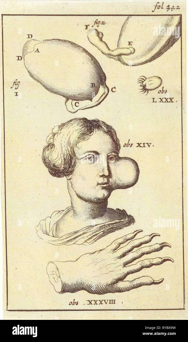 XI de l'image anatomique, Jan Luyken, Jan Claesz dix Hoorn, 1680 - 1688 Banque D'Images