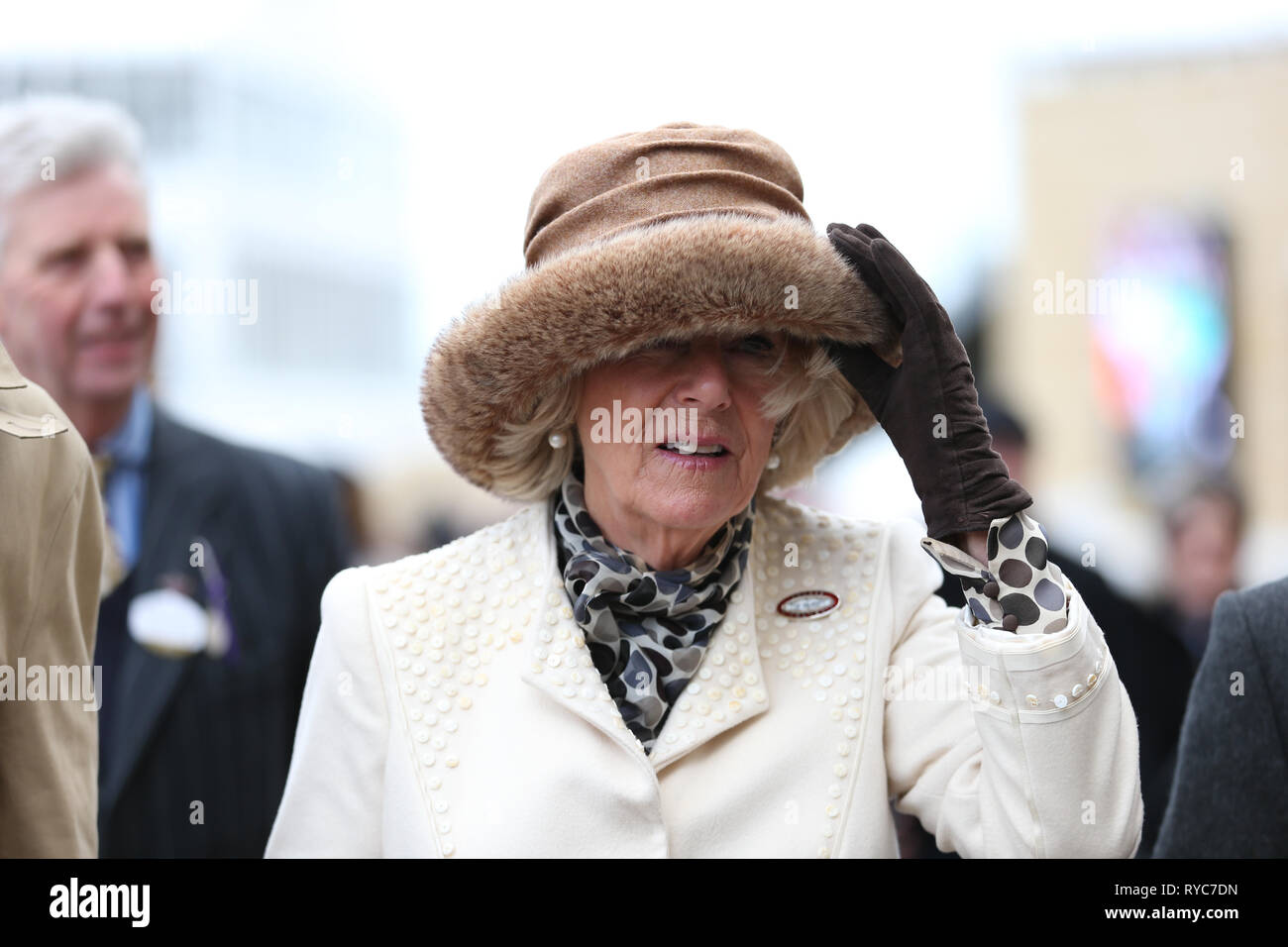 La duchesse de Cornouailles assiste à Mesdames Journée au Cheltenham Festival à l'Hippodrome de Cheltenham. Banque D'Images