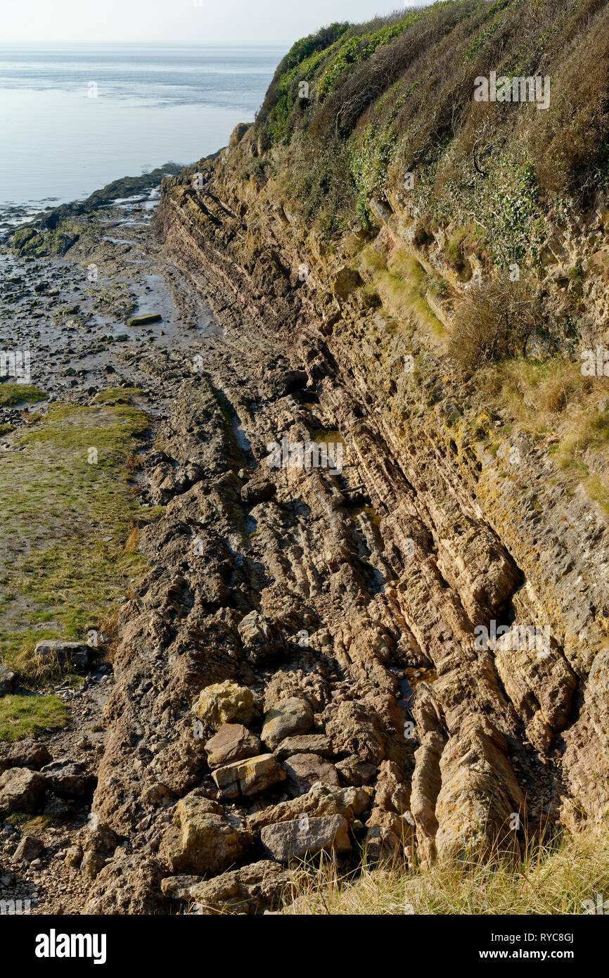 Les strates de Steep Rock à Battery Point, Portishead, North Somerset, Royaume-Uni Marée basse sur une journée d'hiver très calme Banque D'Images